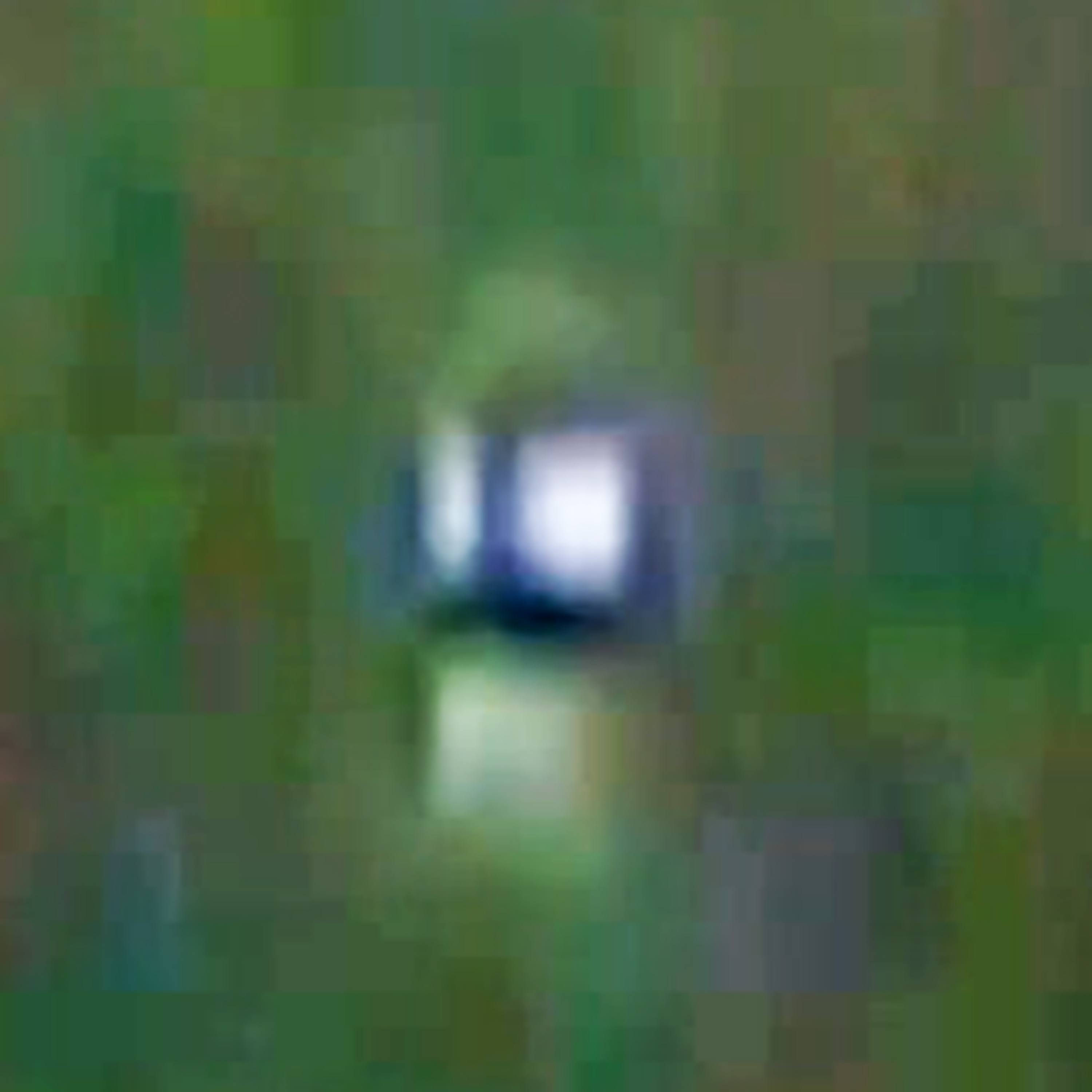 Video Shows Oregon Hunters Under Alien Control
