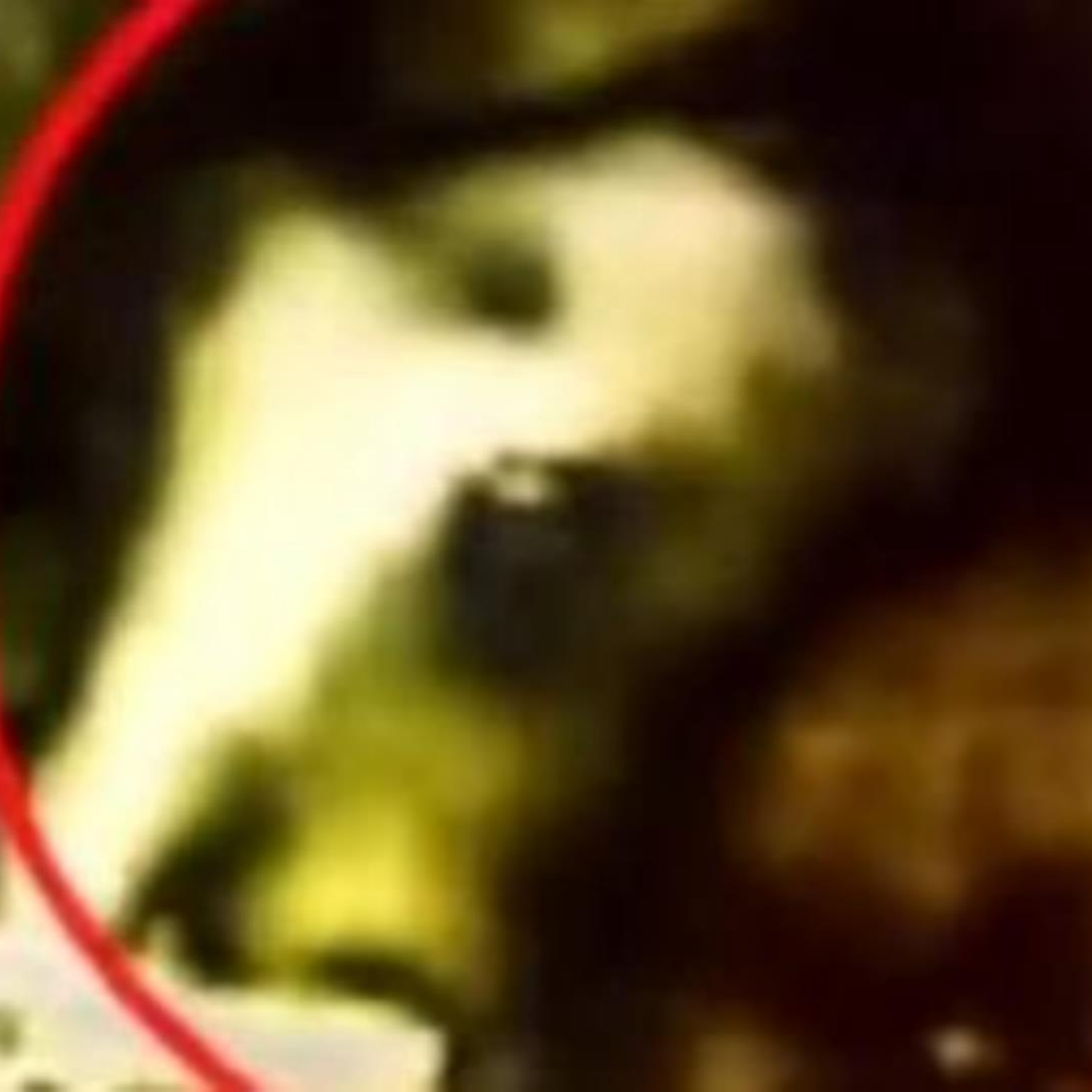 Vegas Alien Analysis Alleges Huge ET Head Visible in Plain Sight on Video