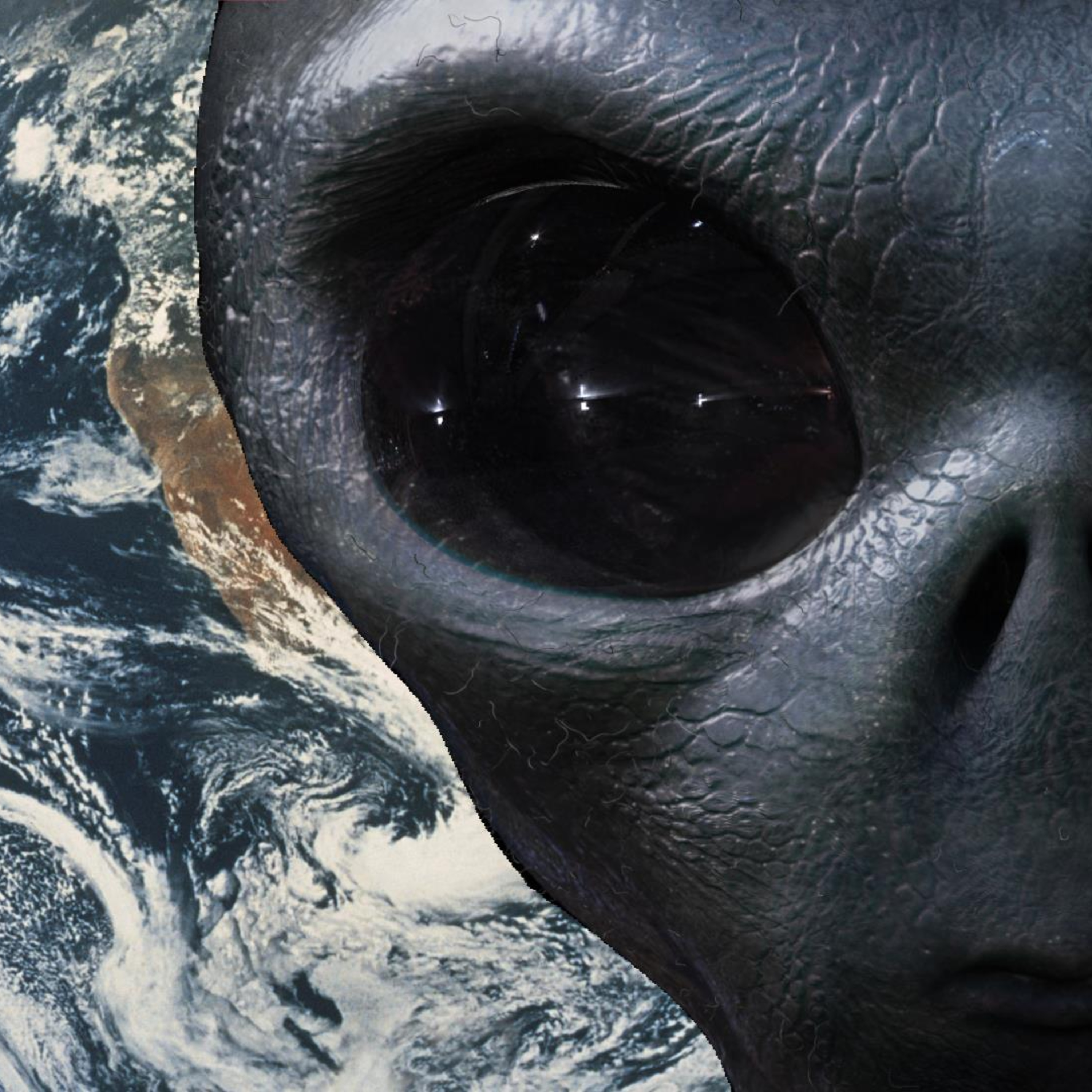 The Immediate Aftermath of UFO Disclosure