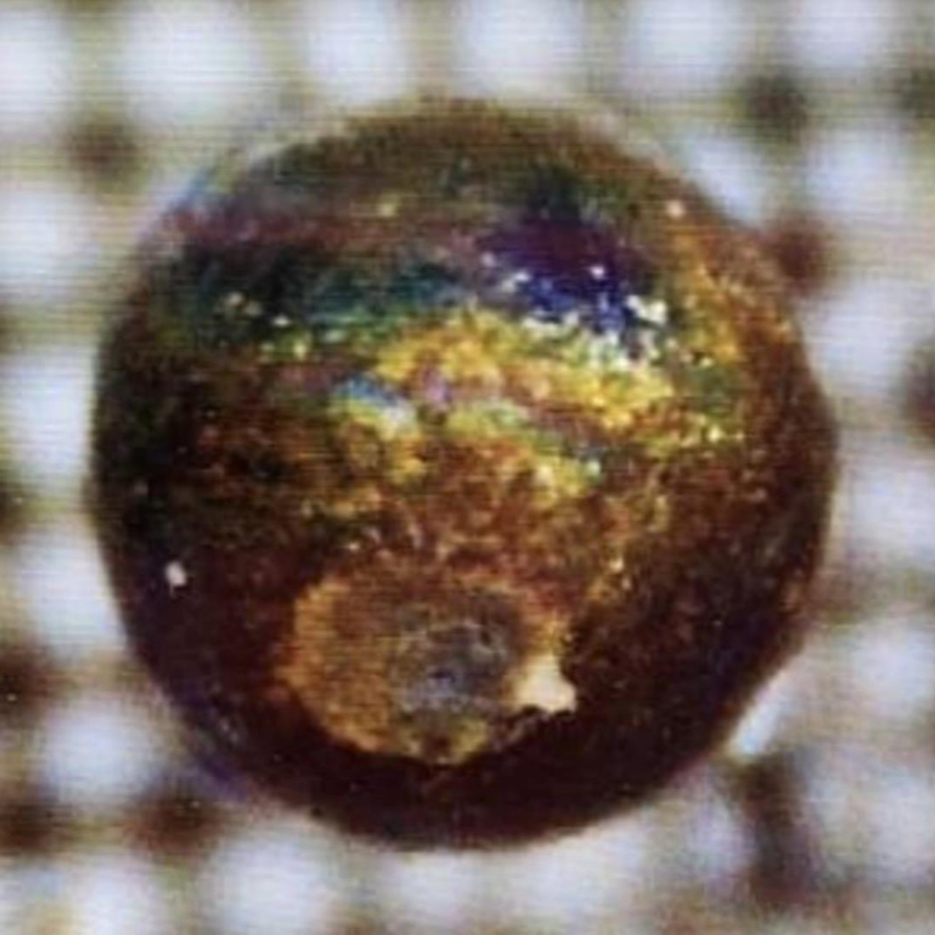 Loeb Believes He Found Potential Evidence of ET Life