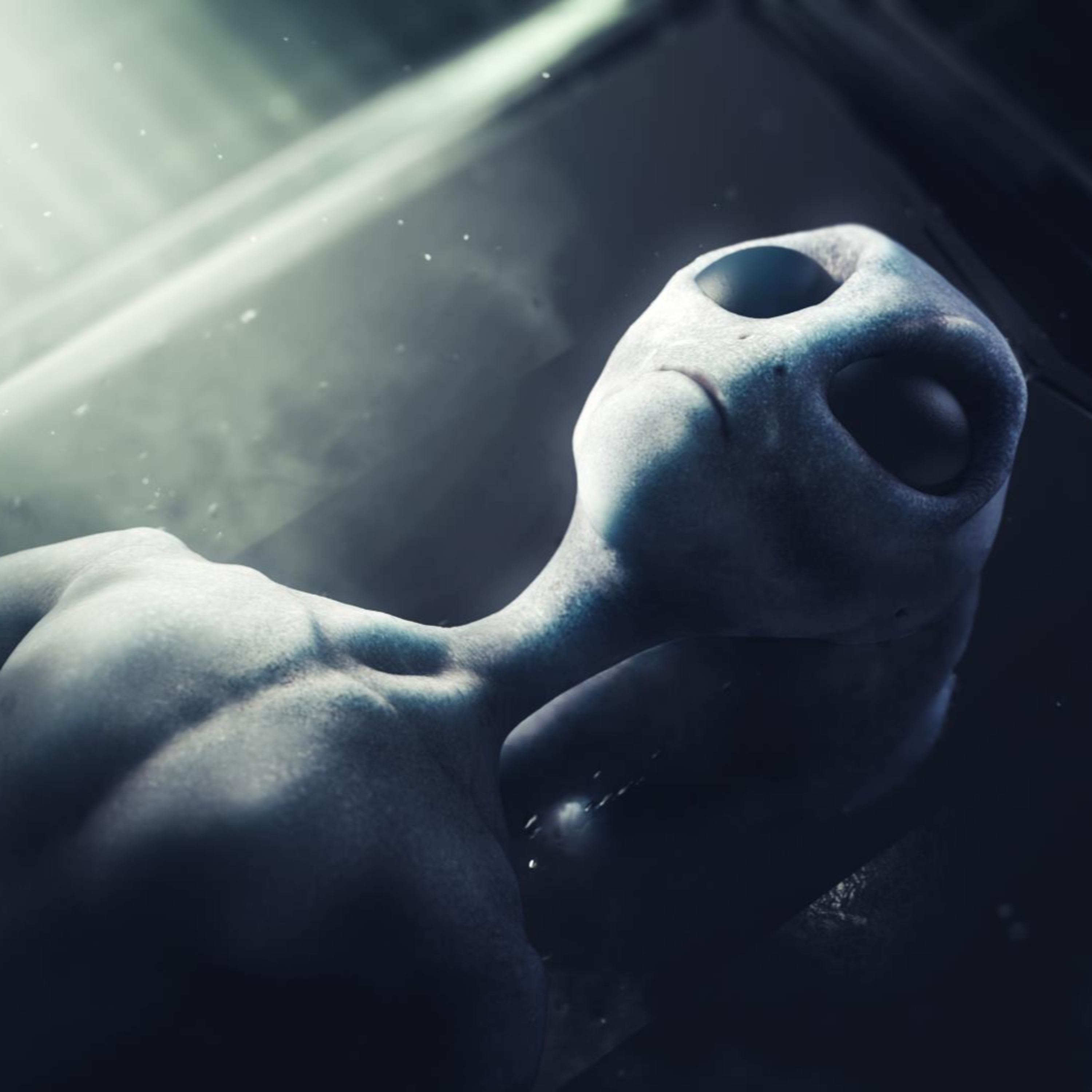 Redditor Alleges he Studied Aliens for Government/Coulthart says Building Hides Giant UFO