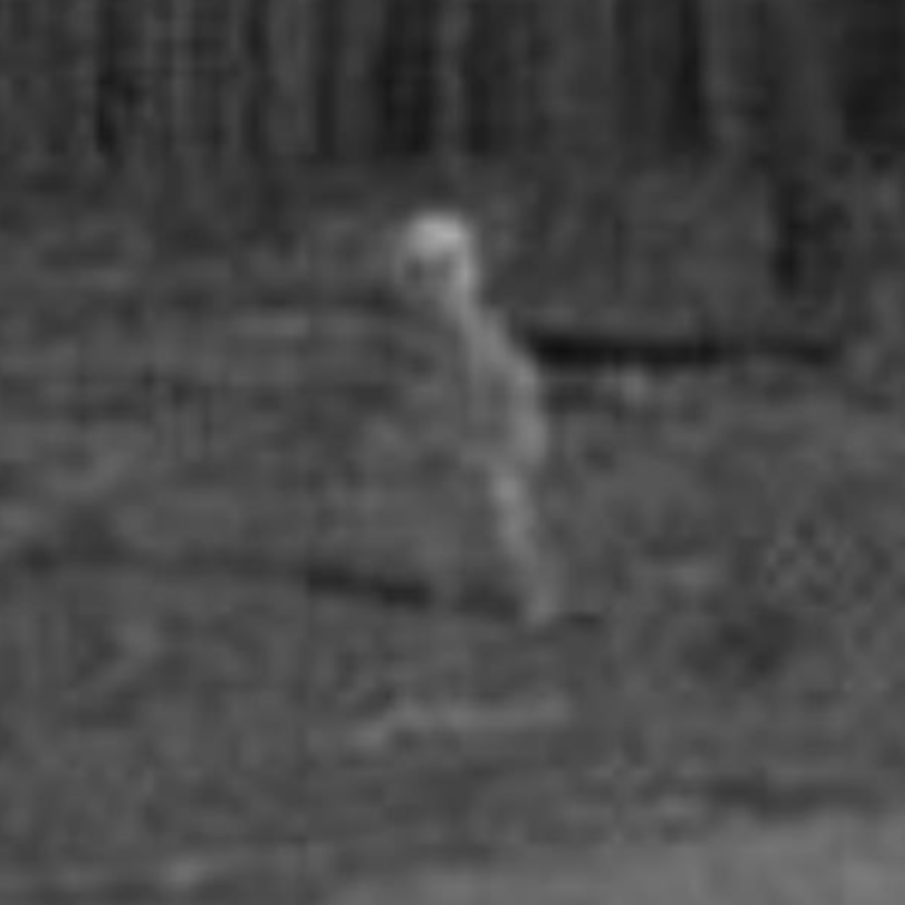 Photo of Alleged Fleeing ET Taken in 1930 Alaska, Louisiana Fireball & More