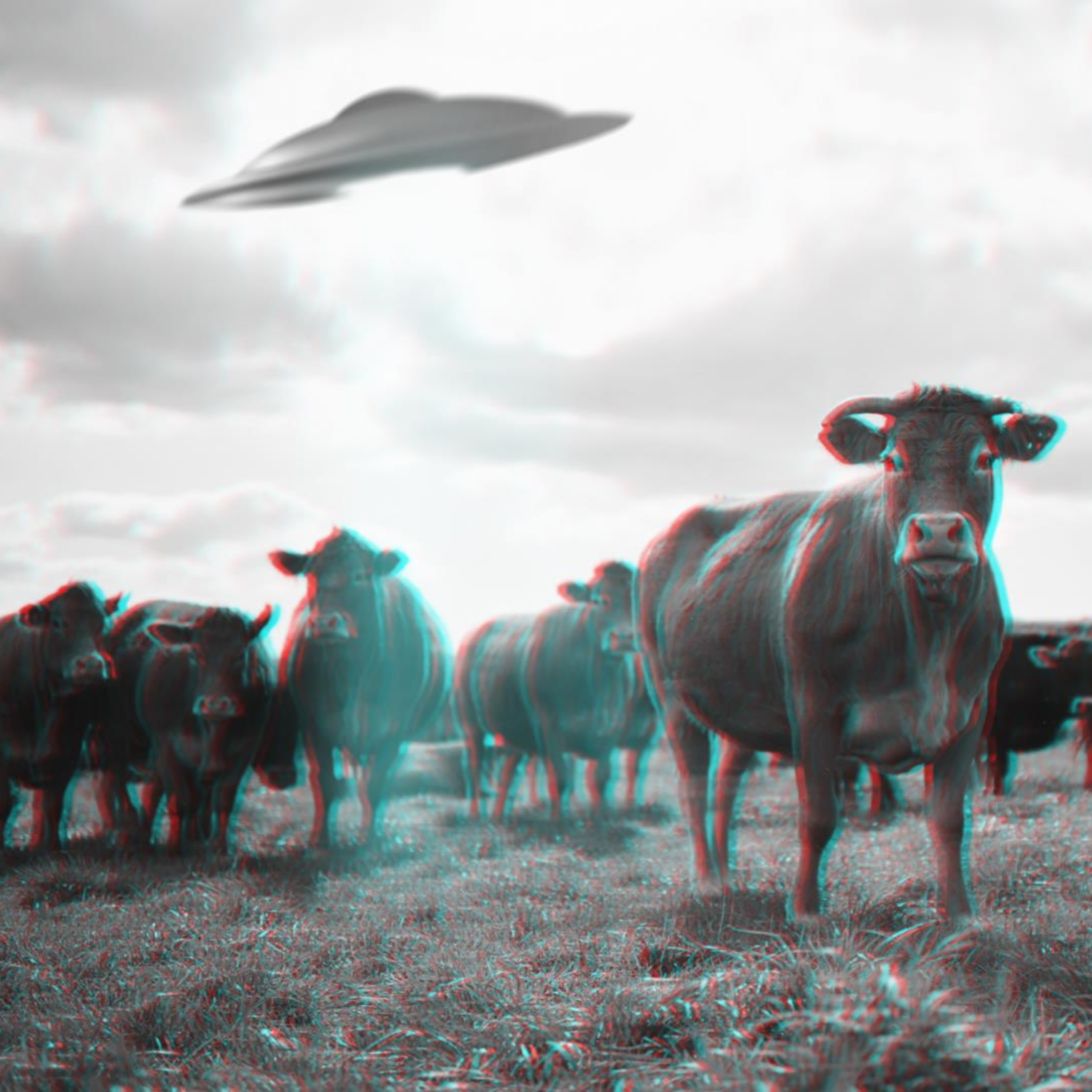 UFO - Extraterrestrial Reality