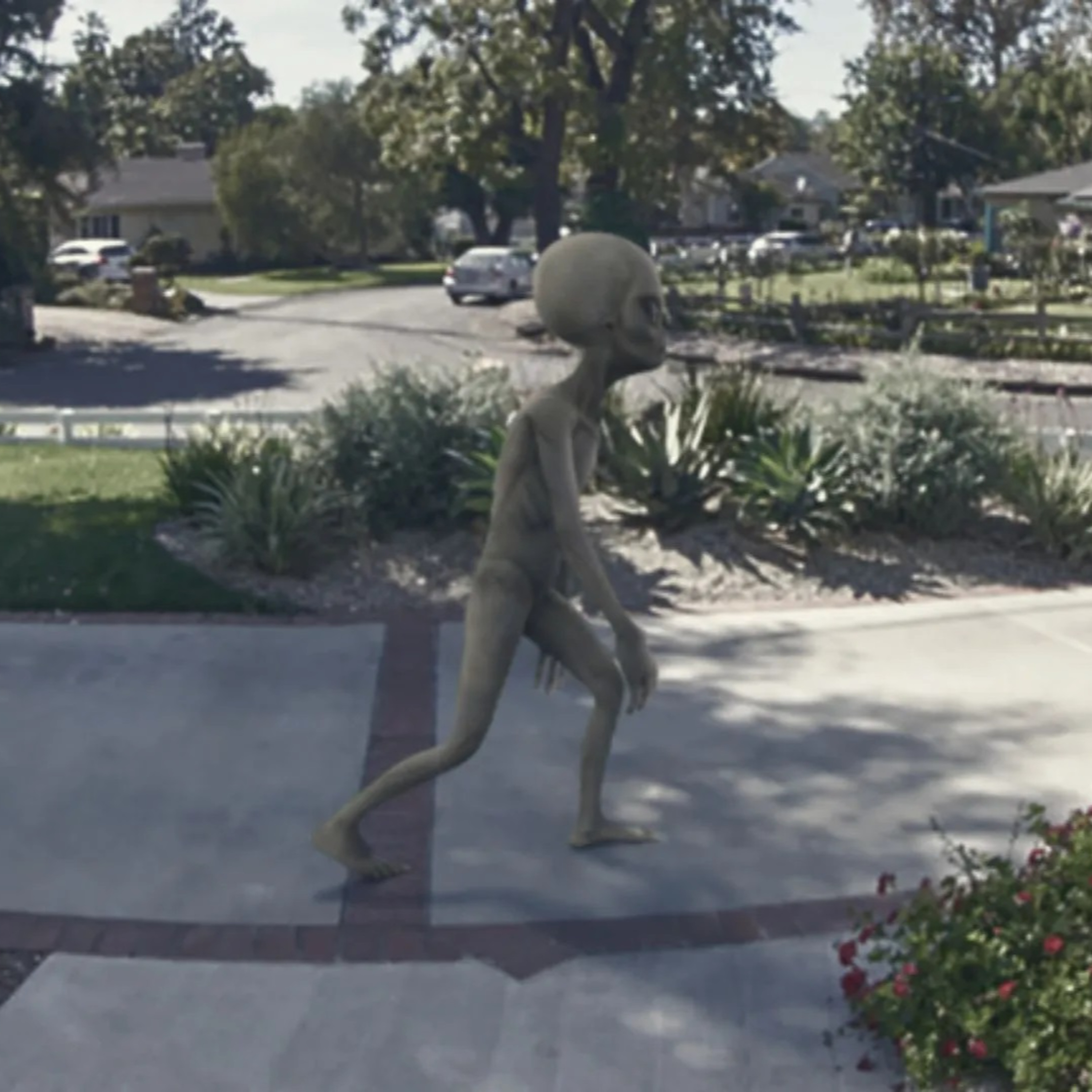 First Person to Capture Extraterrestrial on Ring Camera Wins $1 Million