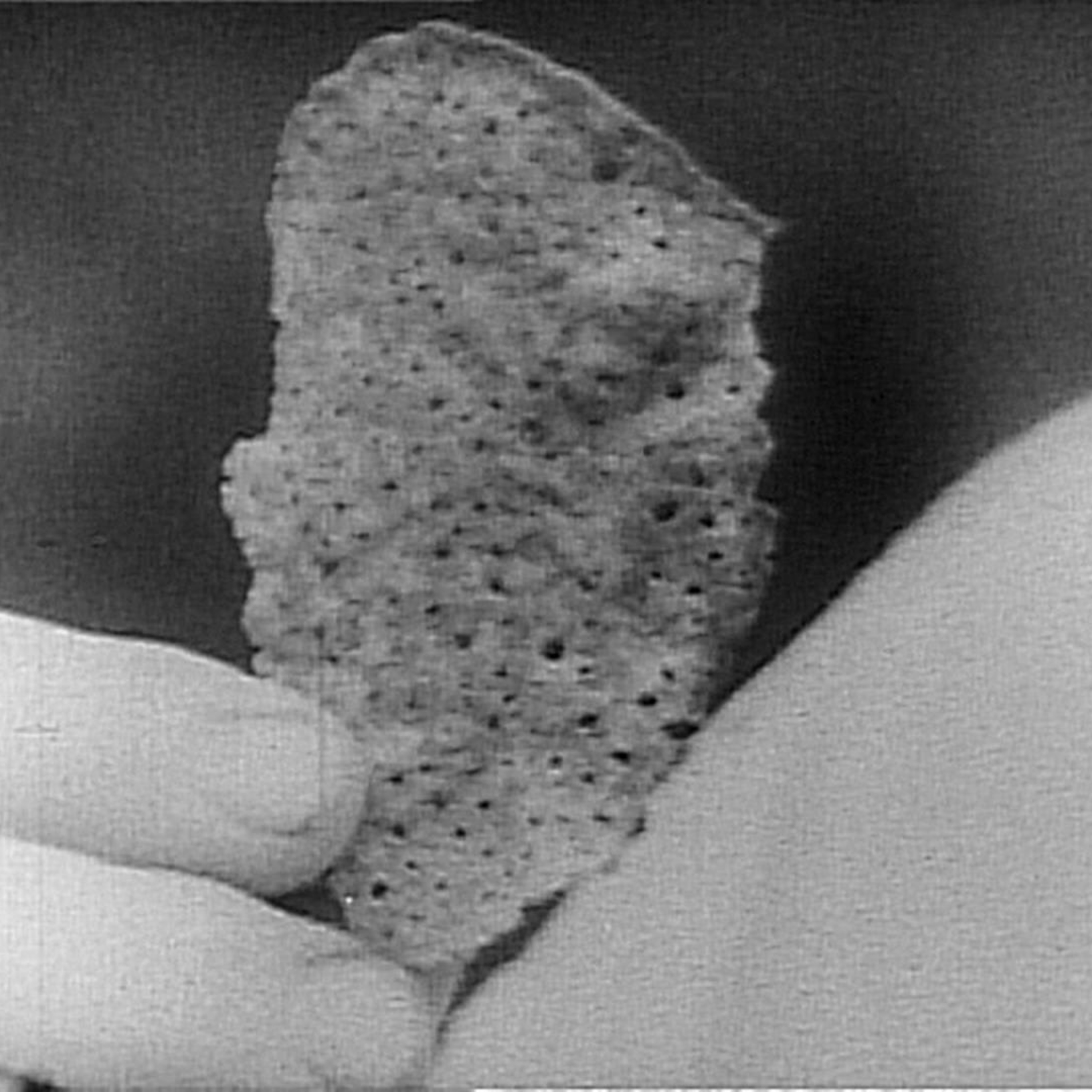 Taste the Pancakes of Extraterrestrials