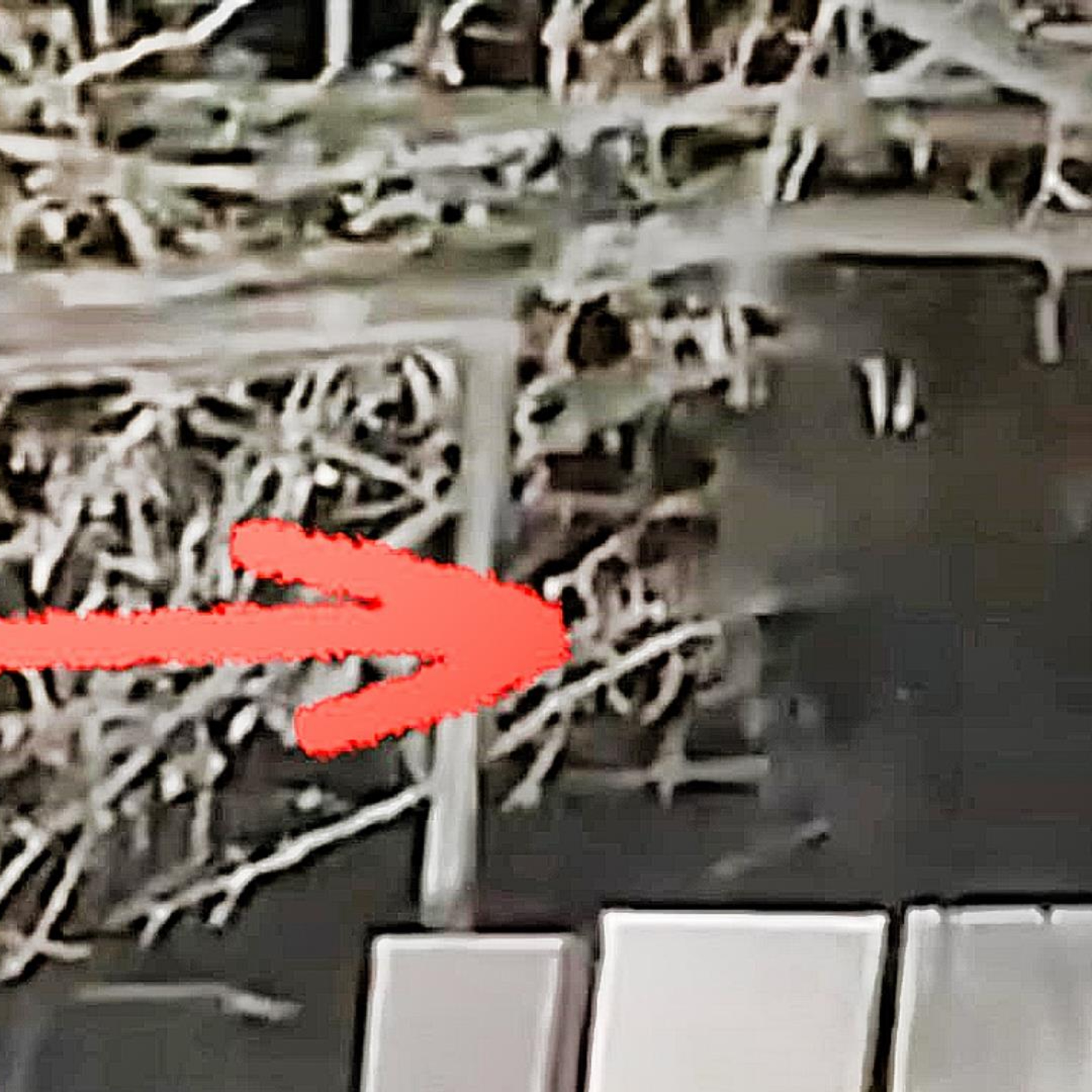 Explosive New Video Evidence of Las Vegas Aliens Emerges