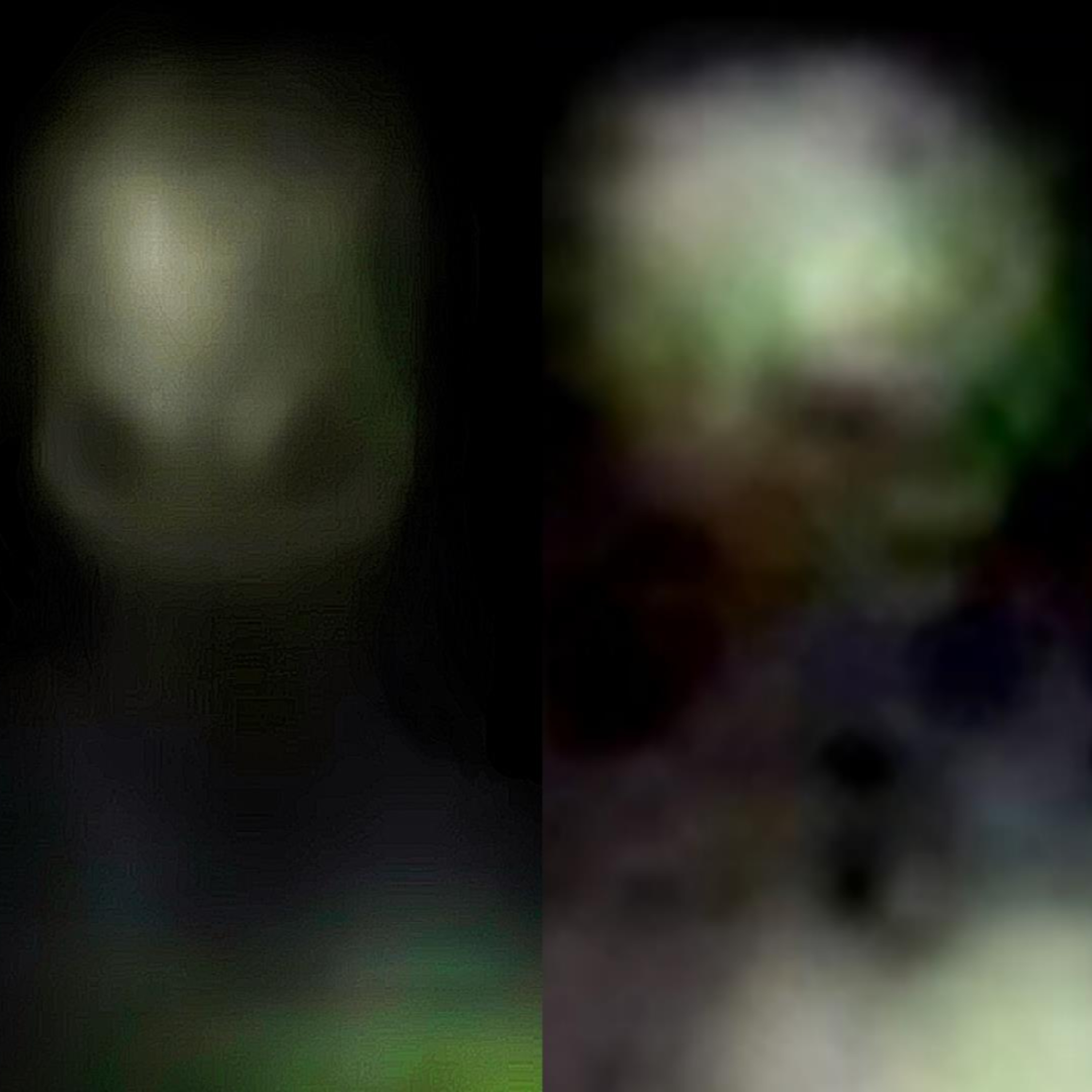 The Kumburgaz, Turkey Aliens are Real/UAP Disclosure Act Back on the Table