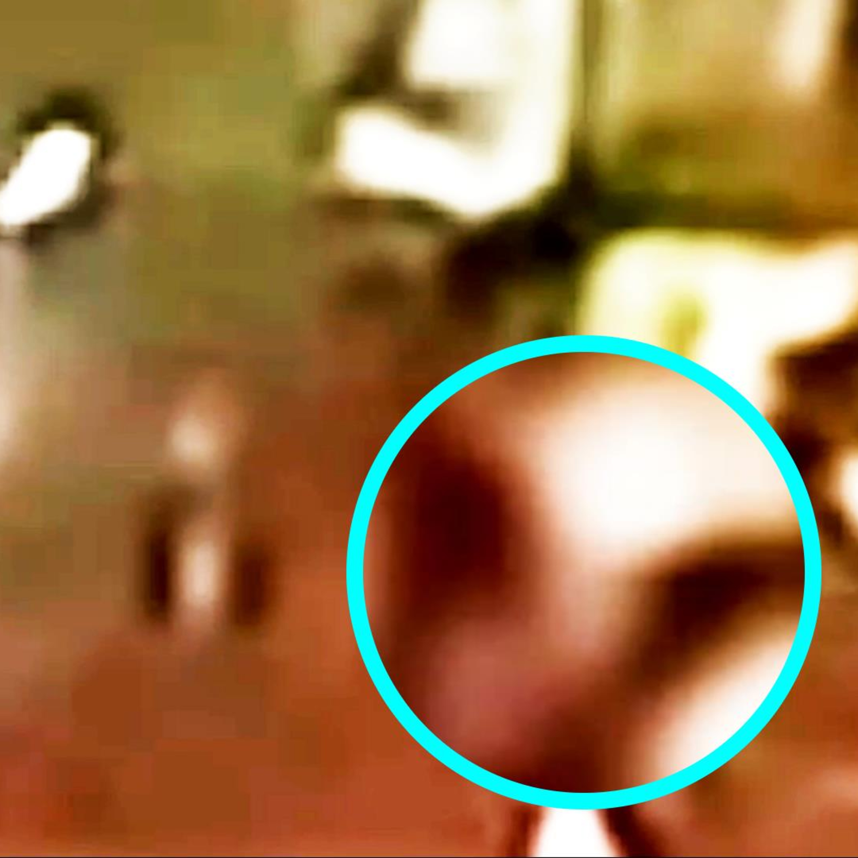 New Discoveries Made in Las Vegas Alien Video