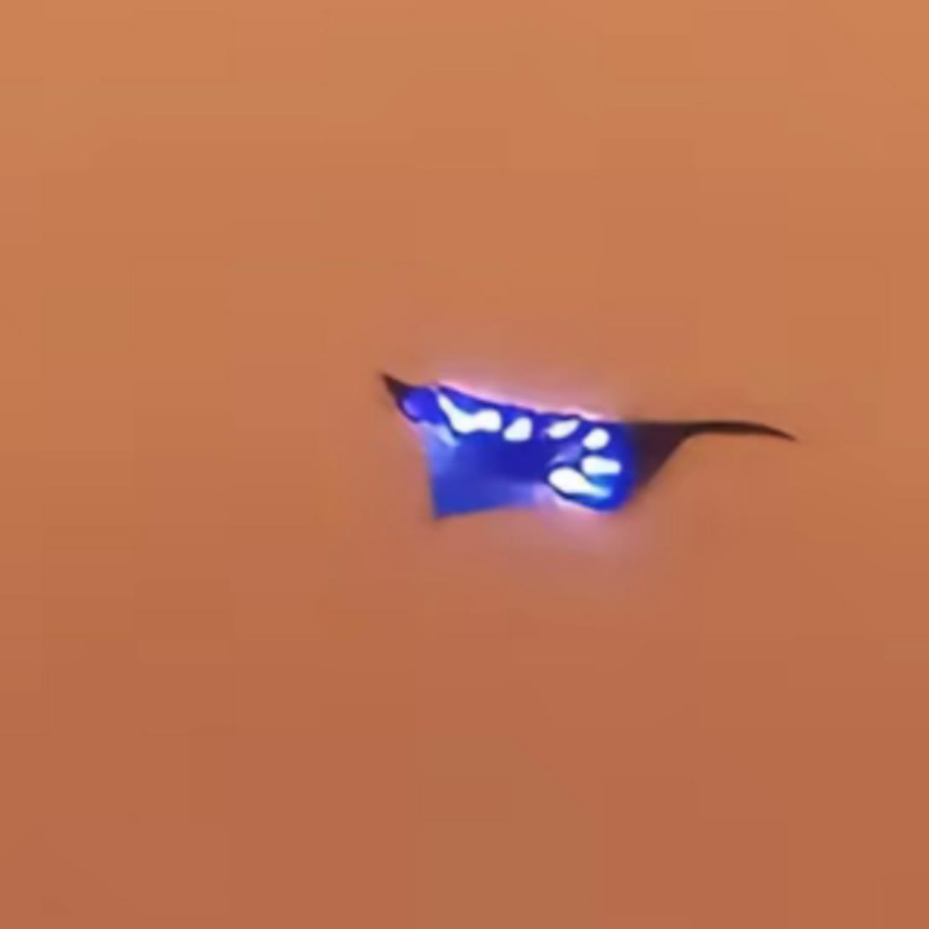 It's Not Just Drones! People are Seeing Orbs and Other Weird Objects in the Skies Everywhere