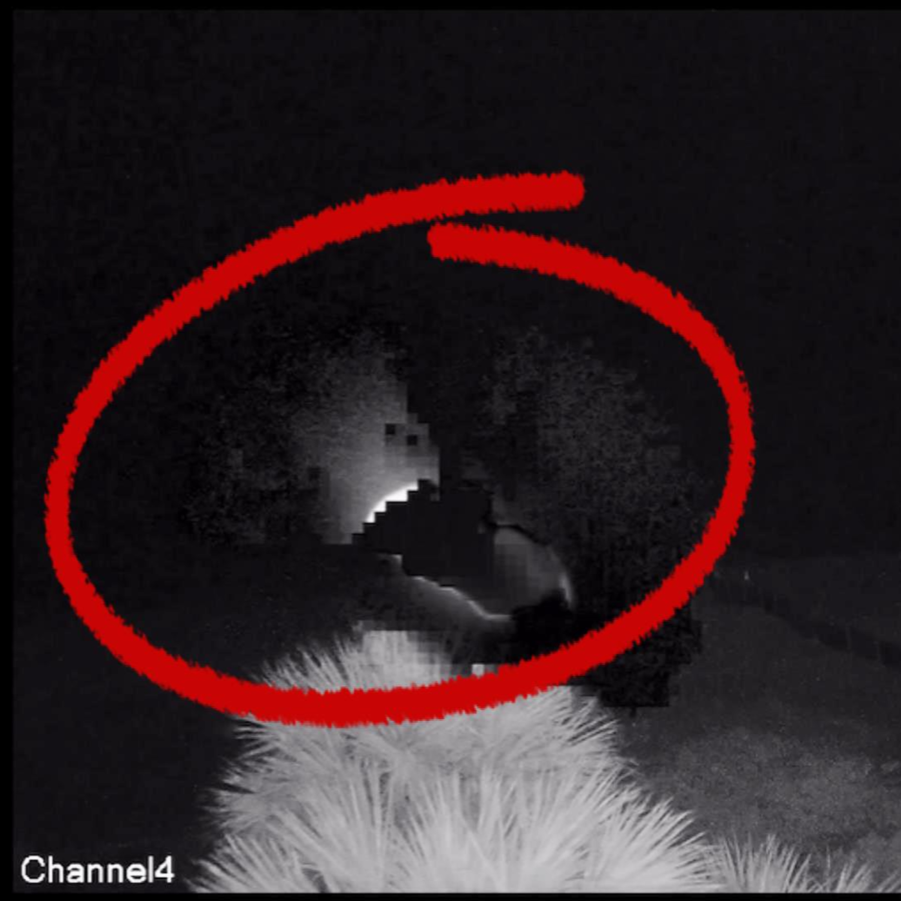 Mystery Objects Captured on Florida Beach Webcam
