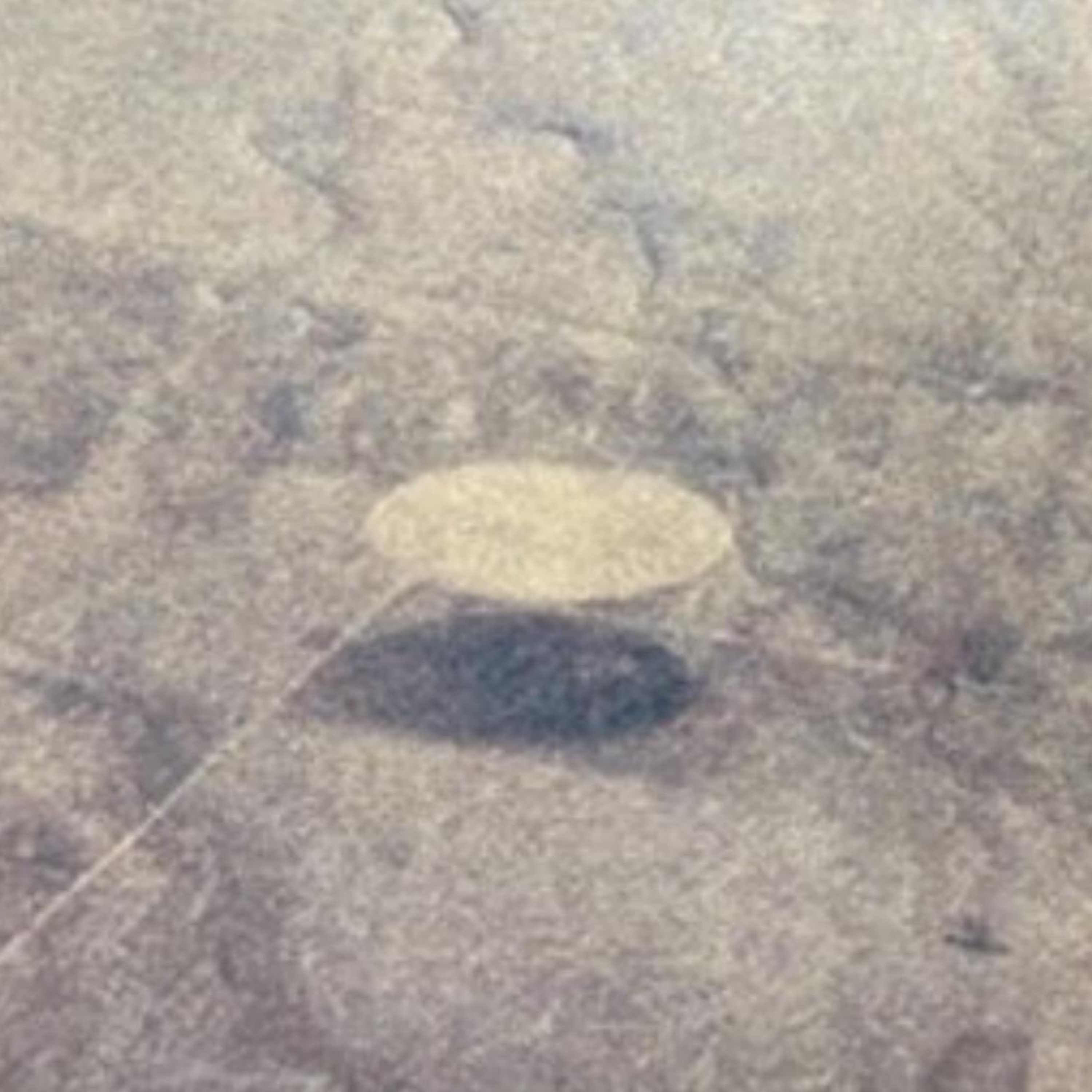 Chaos Erupts After Elizondo Presents UFO Photo to Congress that Gets Immediately Debunked