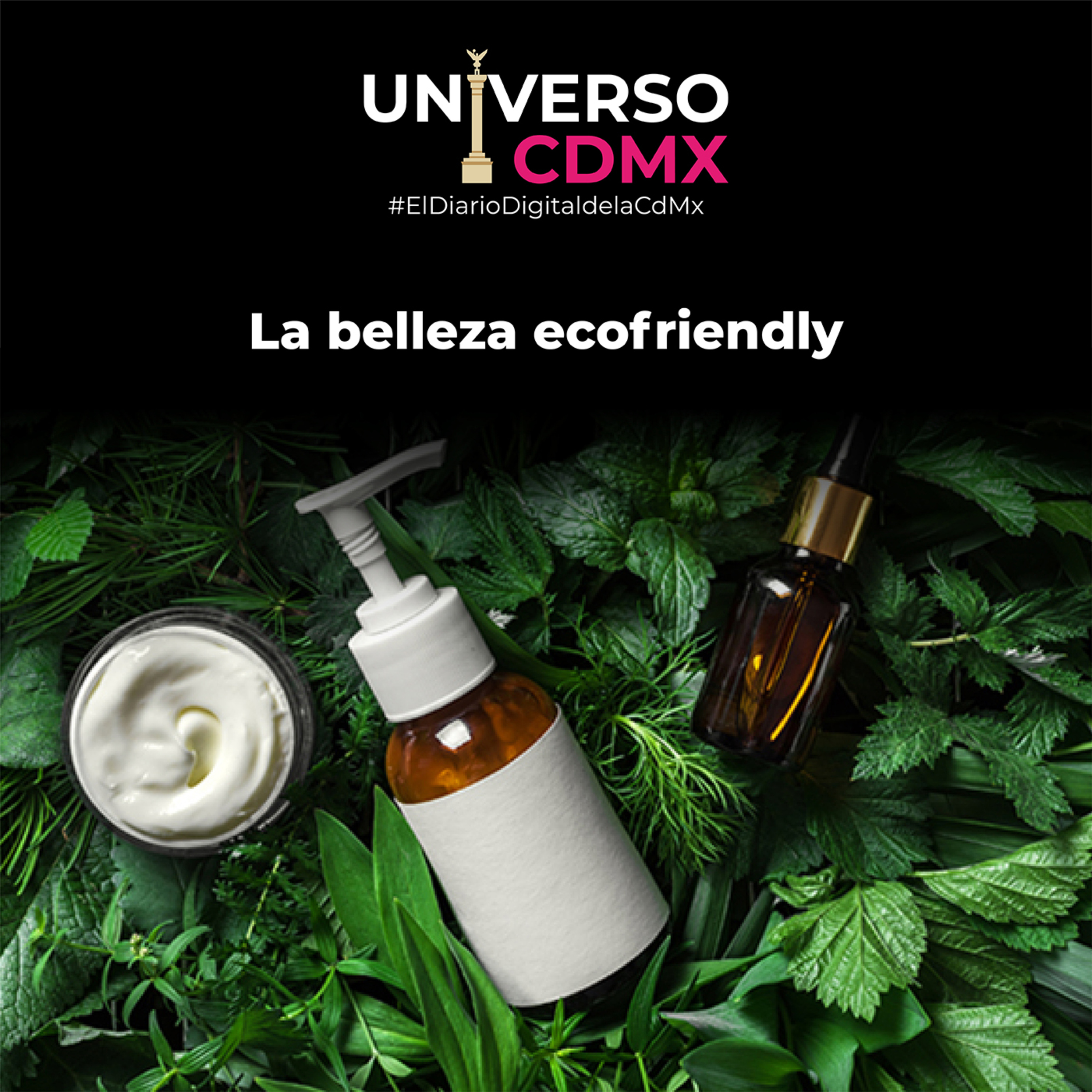 Universo CDMX: La belleza ecofriendly episode artwork