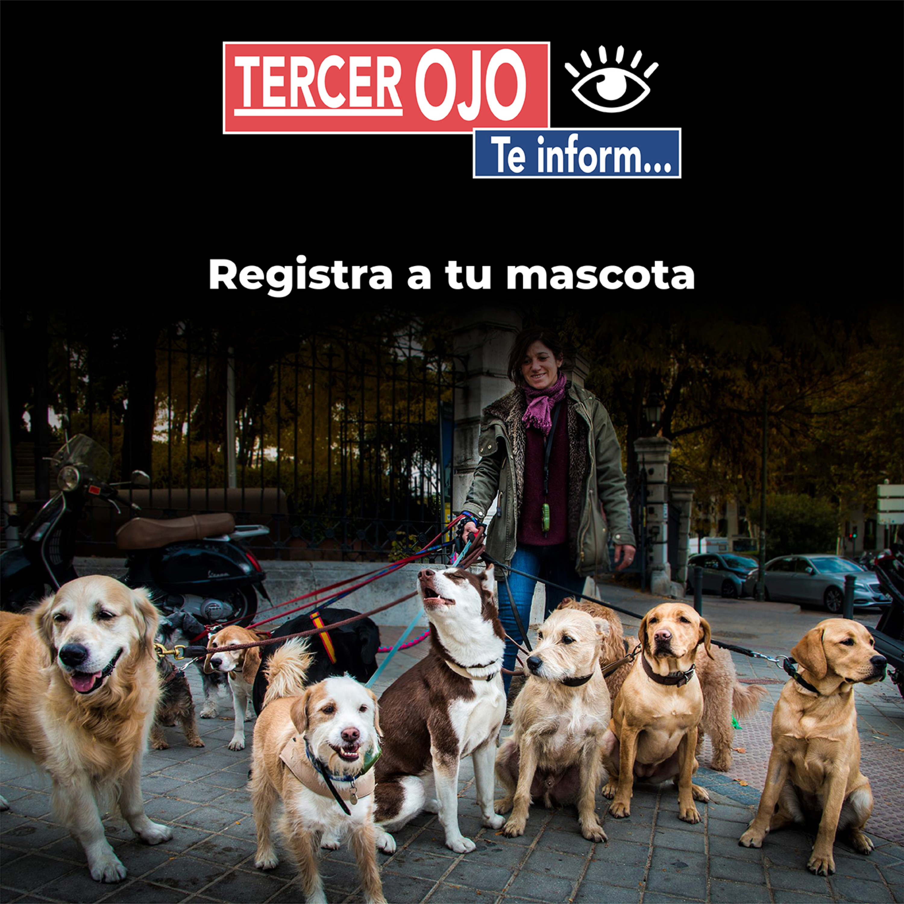 Tercer Ojo te Informa: Registra a tu mascota  episode artwork