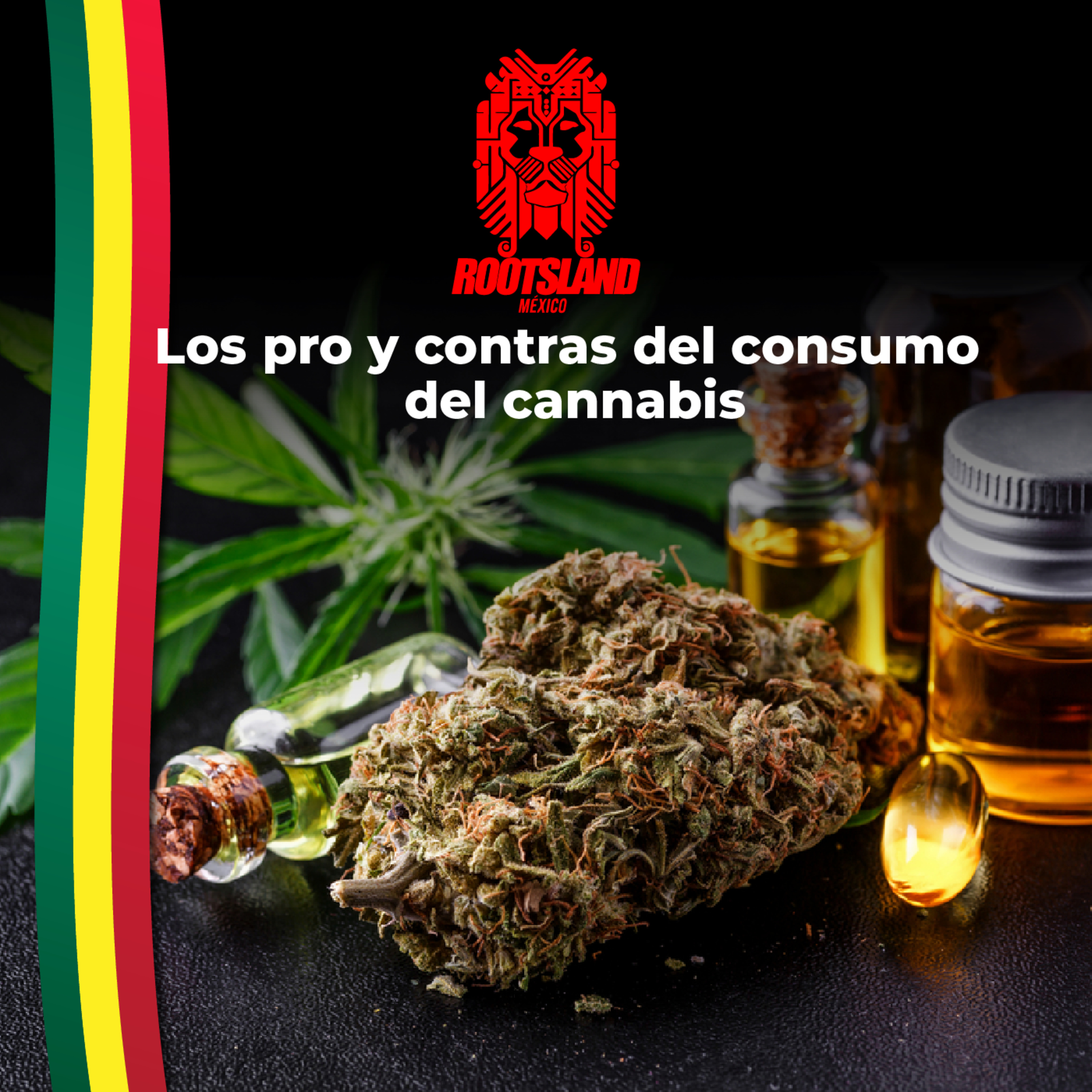 Rootsland: Los pro y contras del consumo del cannabis  episode artwork