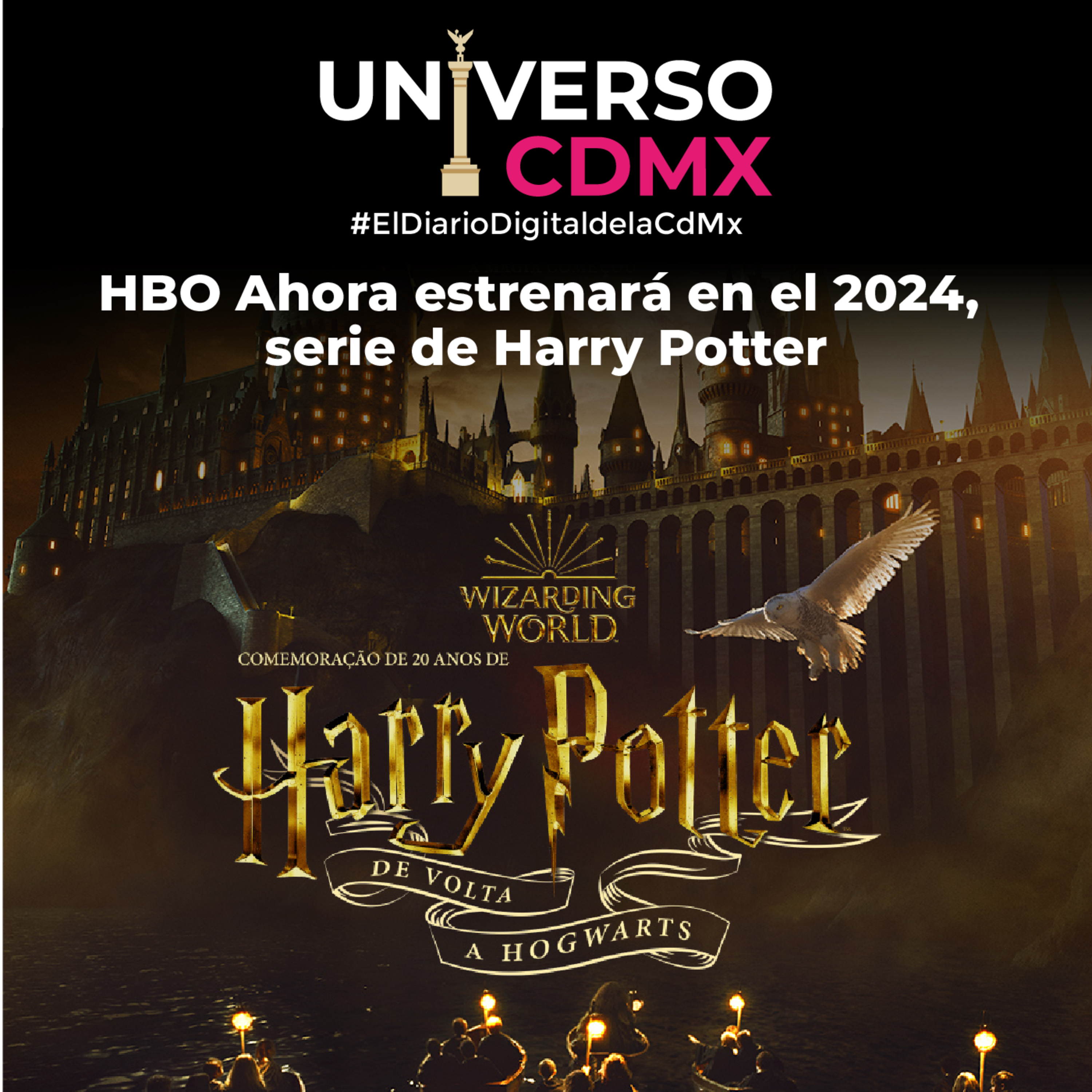 UCDMX: HBO Ahora estrenará en el 2024, serie de Harry Potter  episode artwork