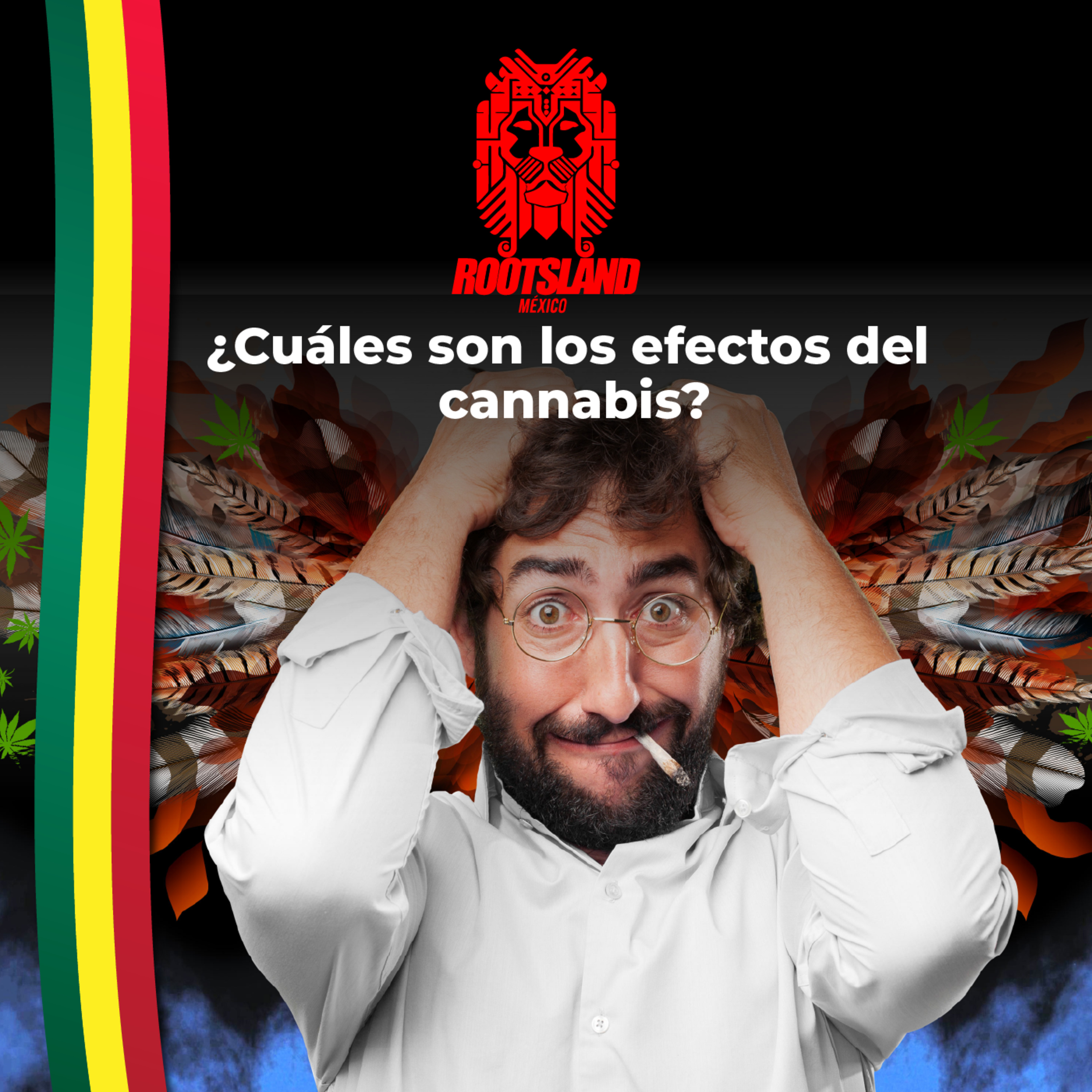 Rootsland: ¿Cuáles son los efectos del cannabis?  episode artwork
