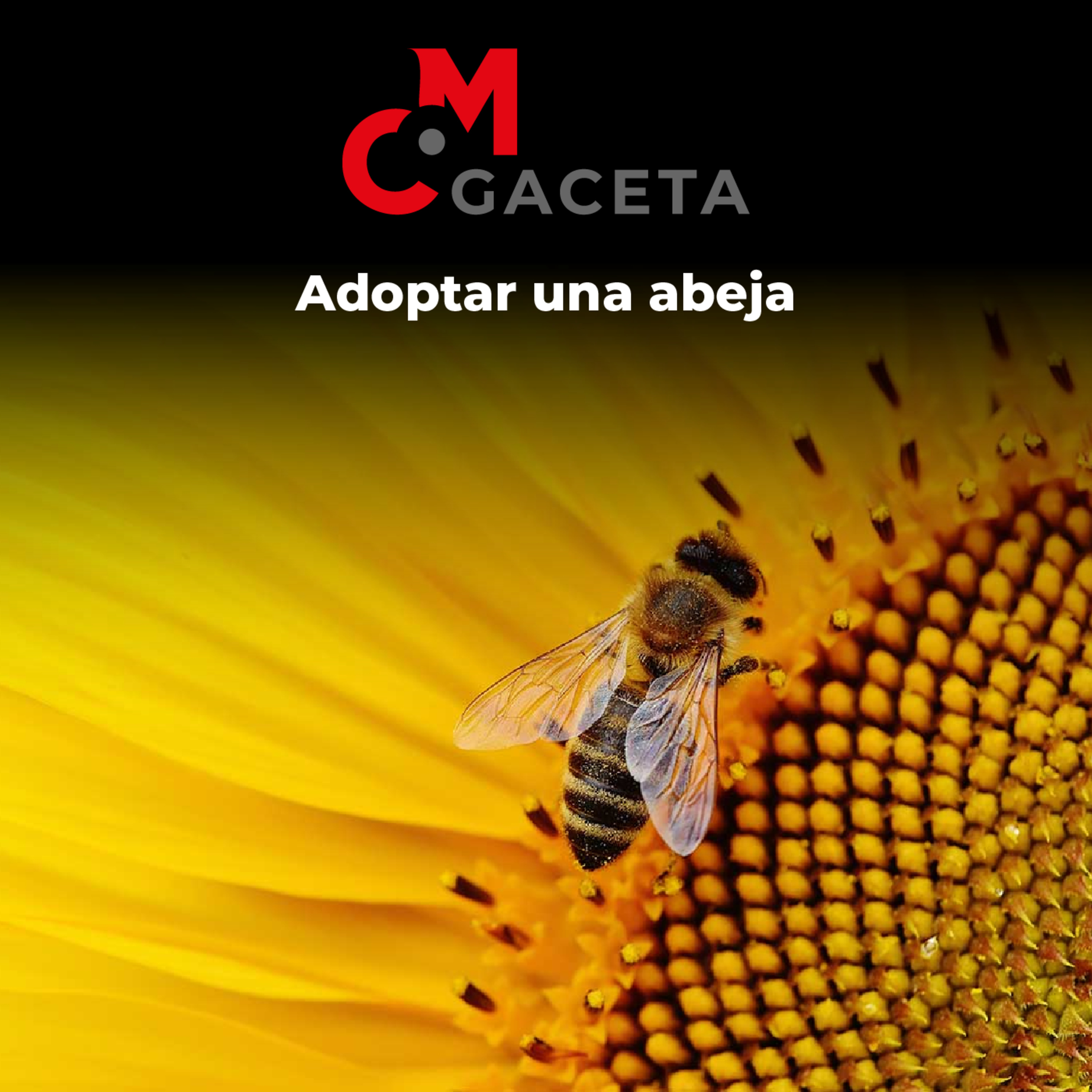 Gaceta Mc: Adoptar una abeja episode artwork
