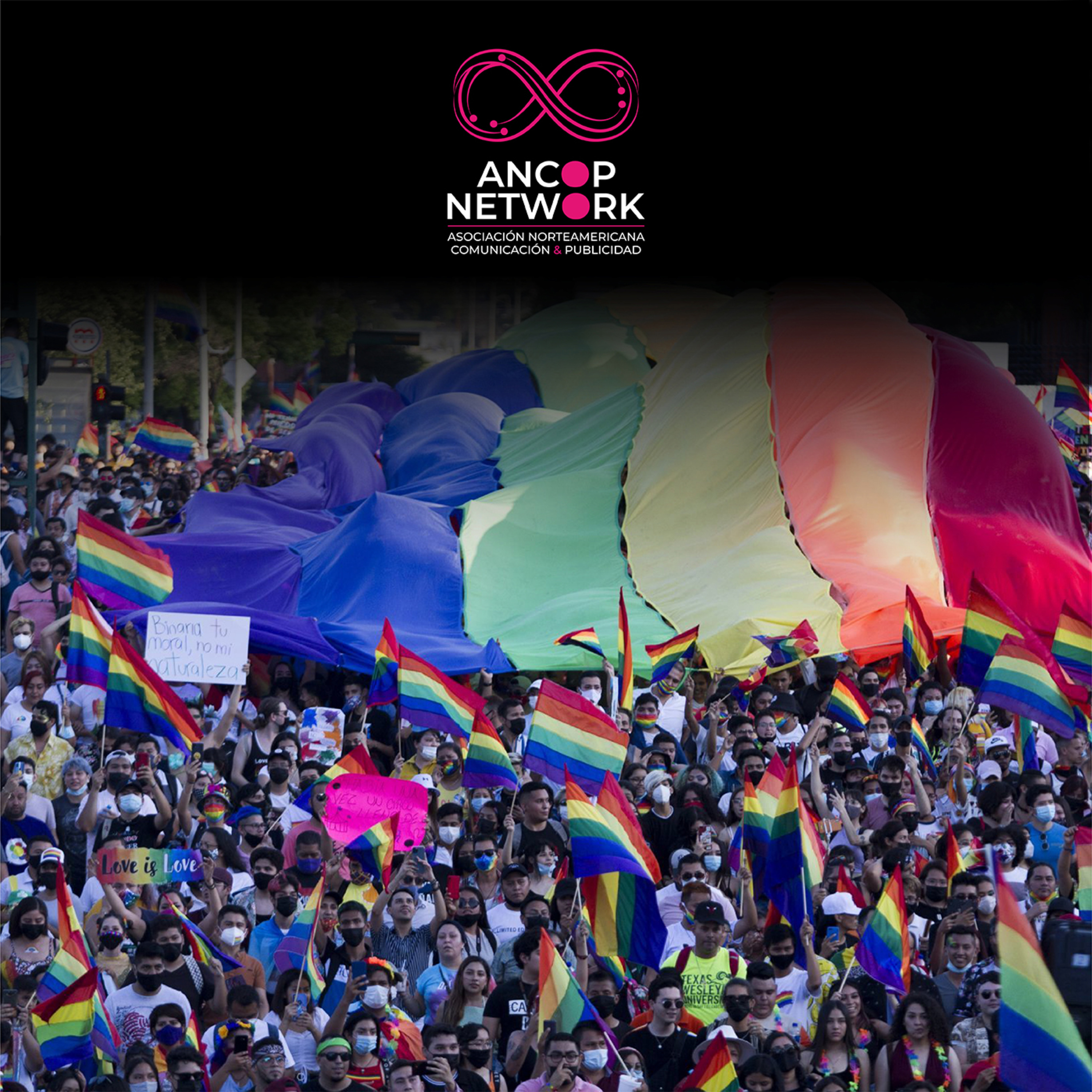 Desde las Sombras | El Pride 2024, Diversidad, Salud y Dinero Rosa episode artwork