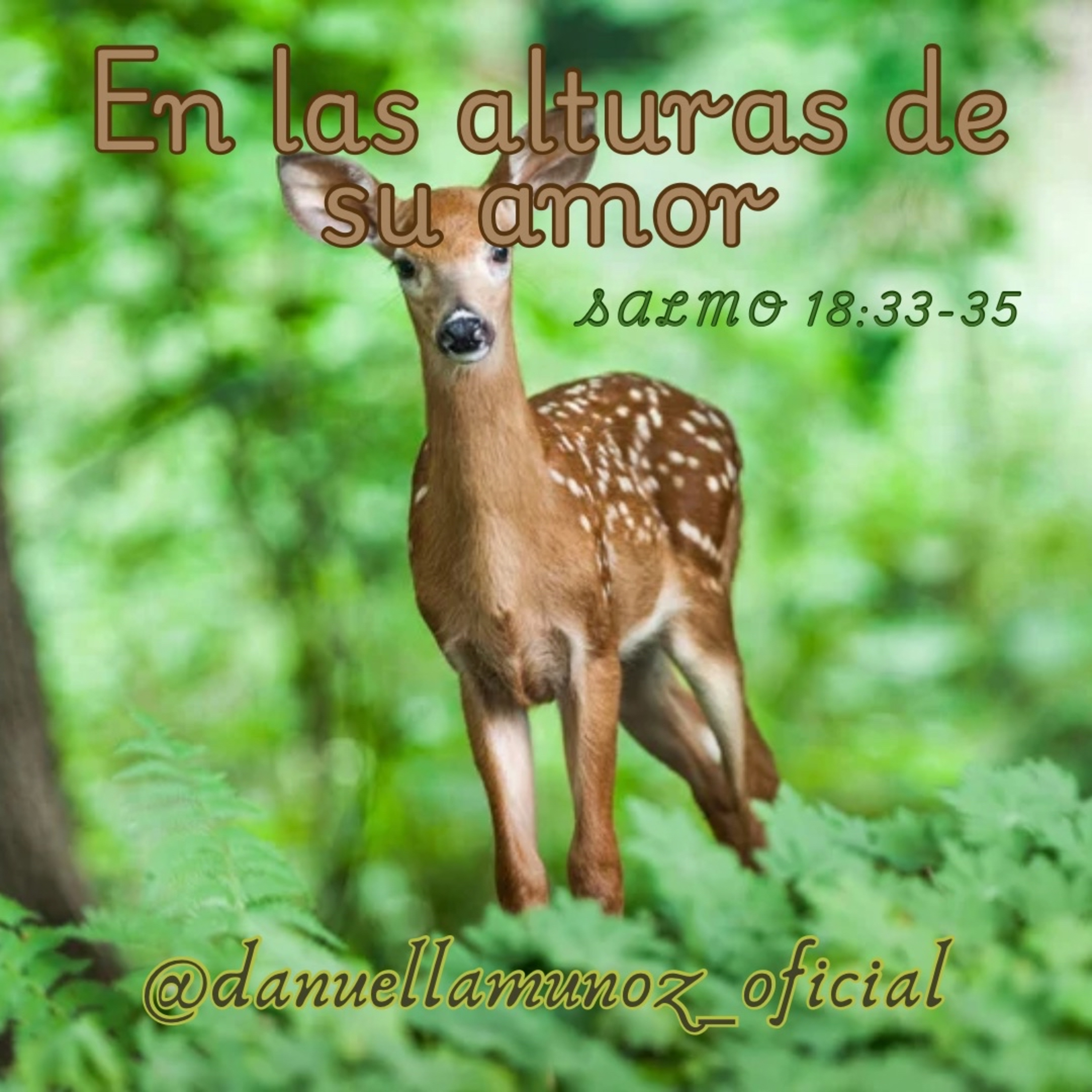 Portada de Una Cita Celestial