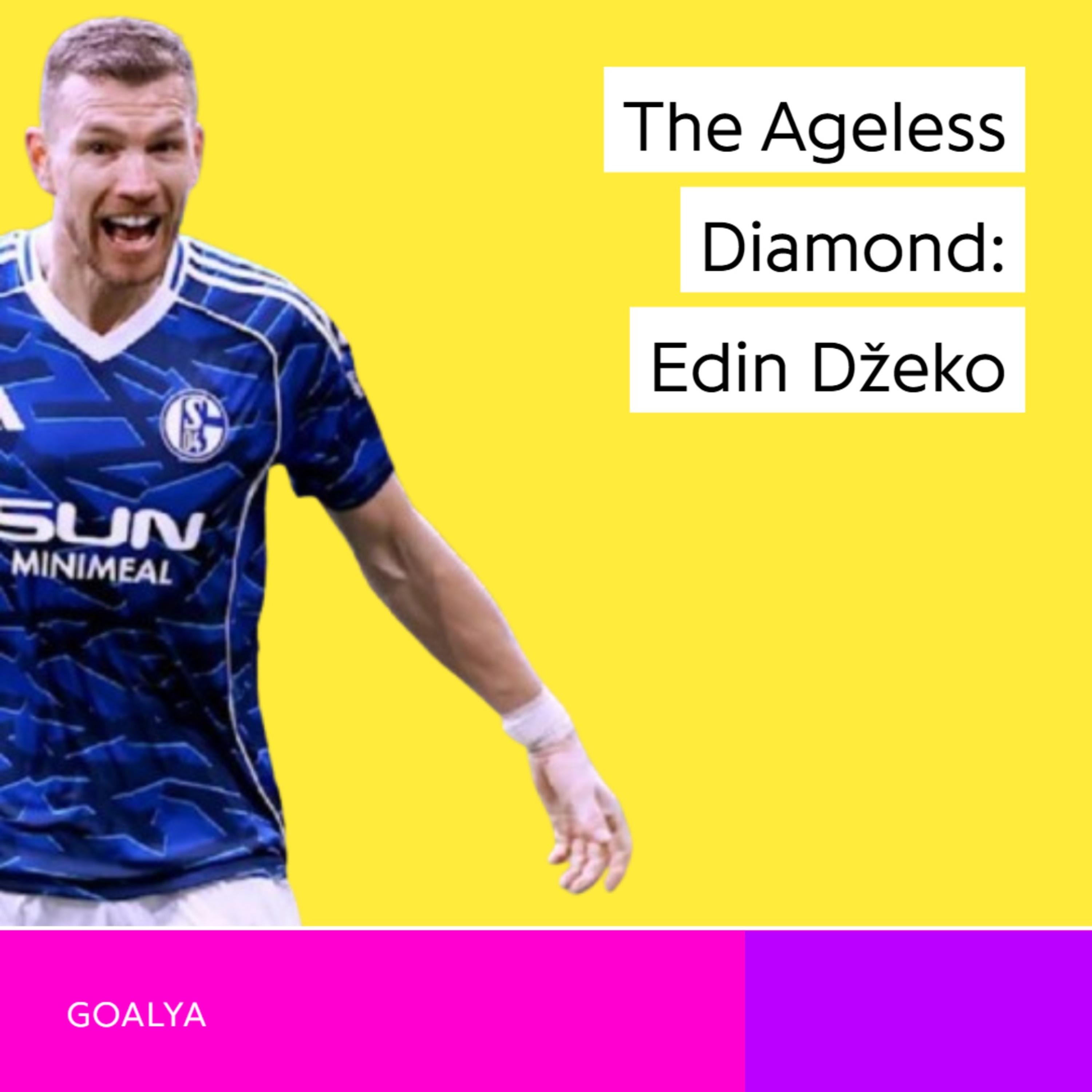 The Ageless Diamond: Edin Džeko’s Record-Breaking Schalke Revival