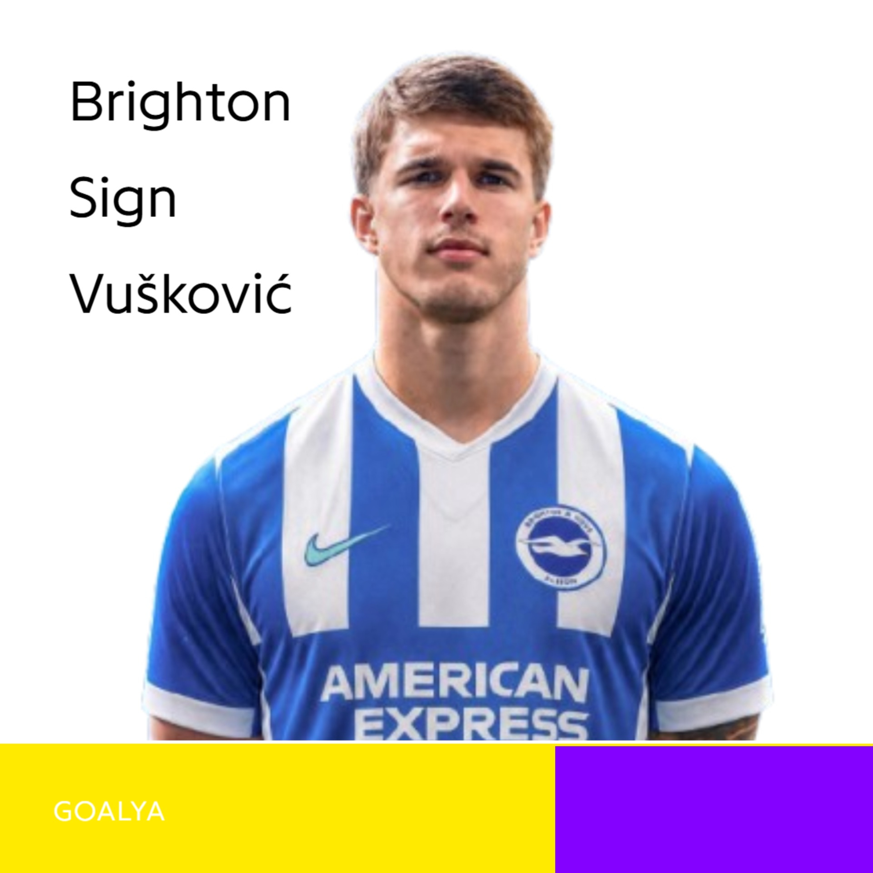 The £50m Teenage Giant: Luka Vušković’s Historic Move to Brighton episode artwork