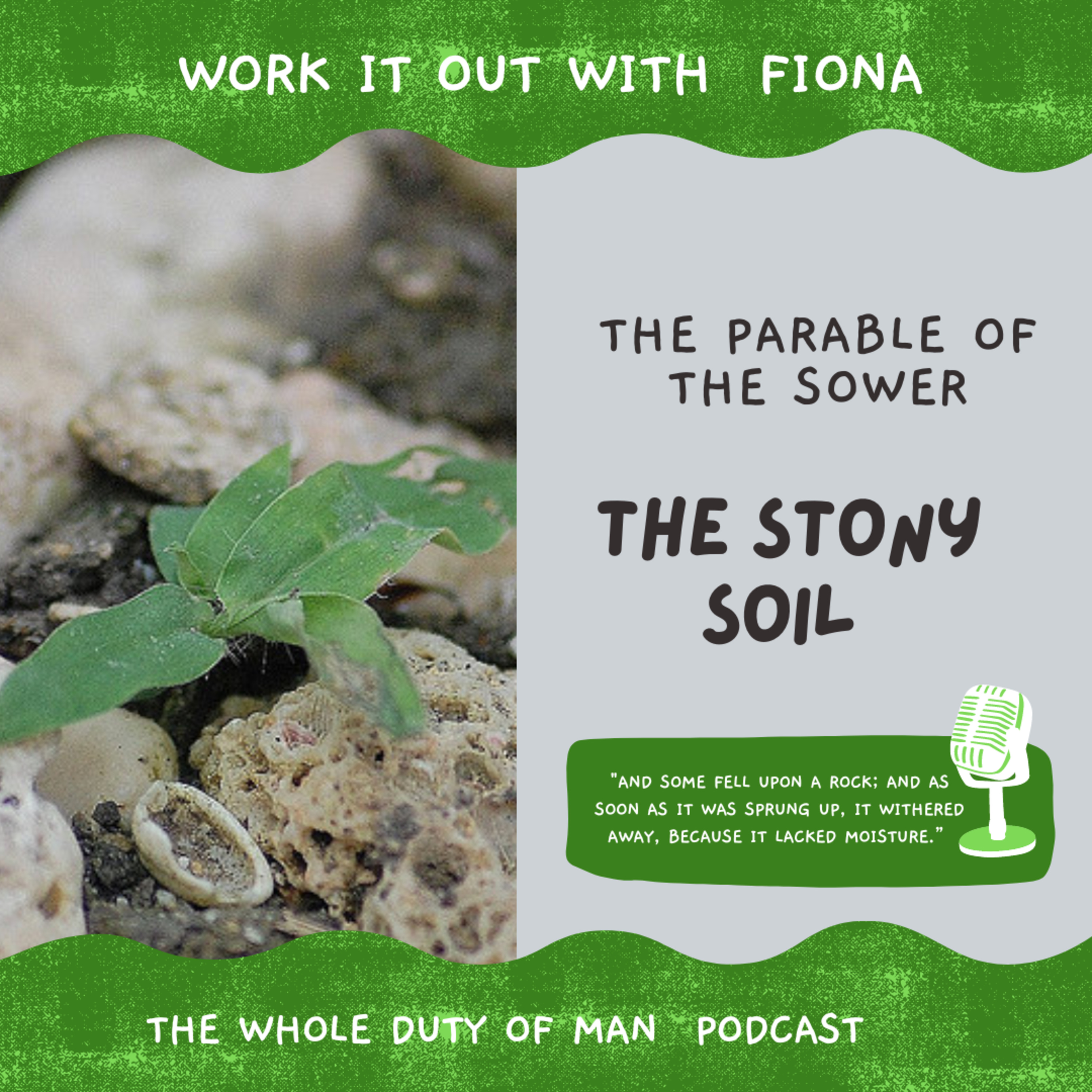 The Parable of The Sower: The Stony soil