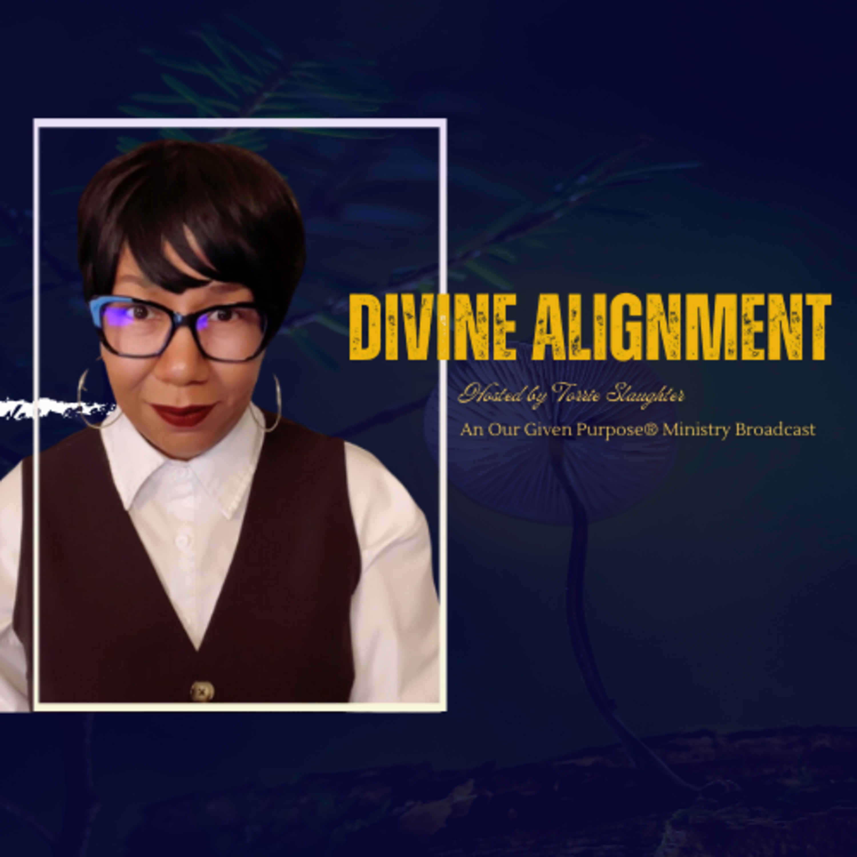 *Bonus Episode* Divine Alignment on A Daily Purpose  episode artwork
