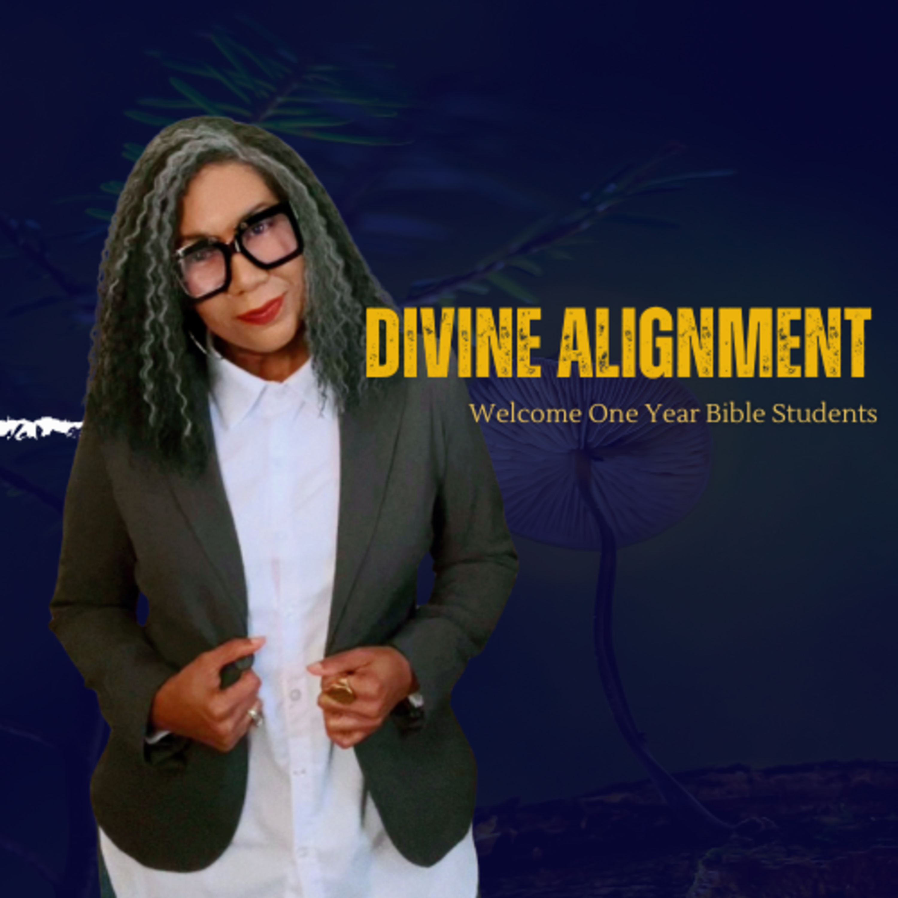 Day 87 *Bonus* Divine Alignment on A Daily Purpose episode artwork