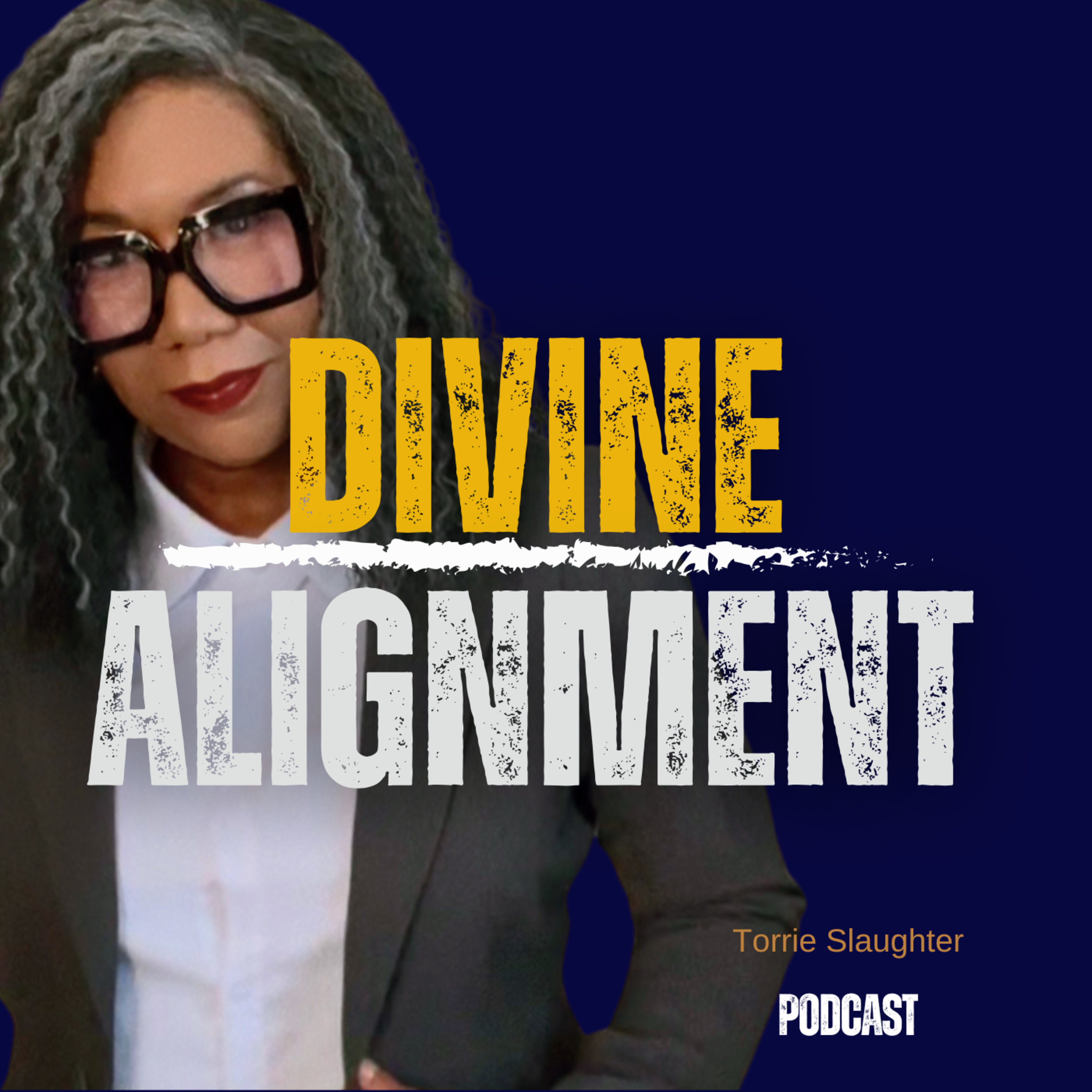 Divine Alignment Day 100 Step In With Courage episode artwork