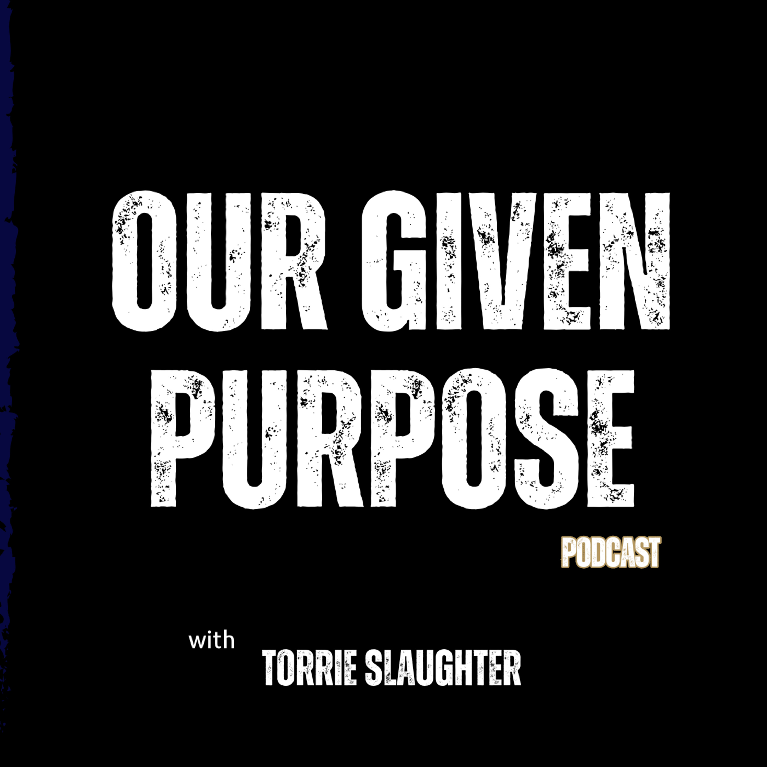 Day 258 Not Guilty by Torrie Slaughter episode artwork