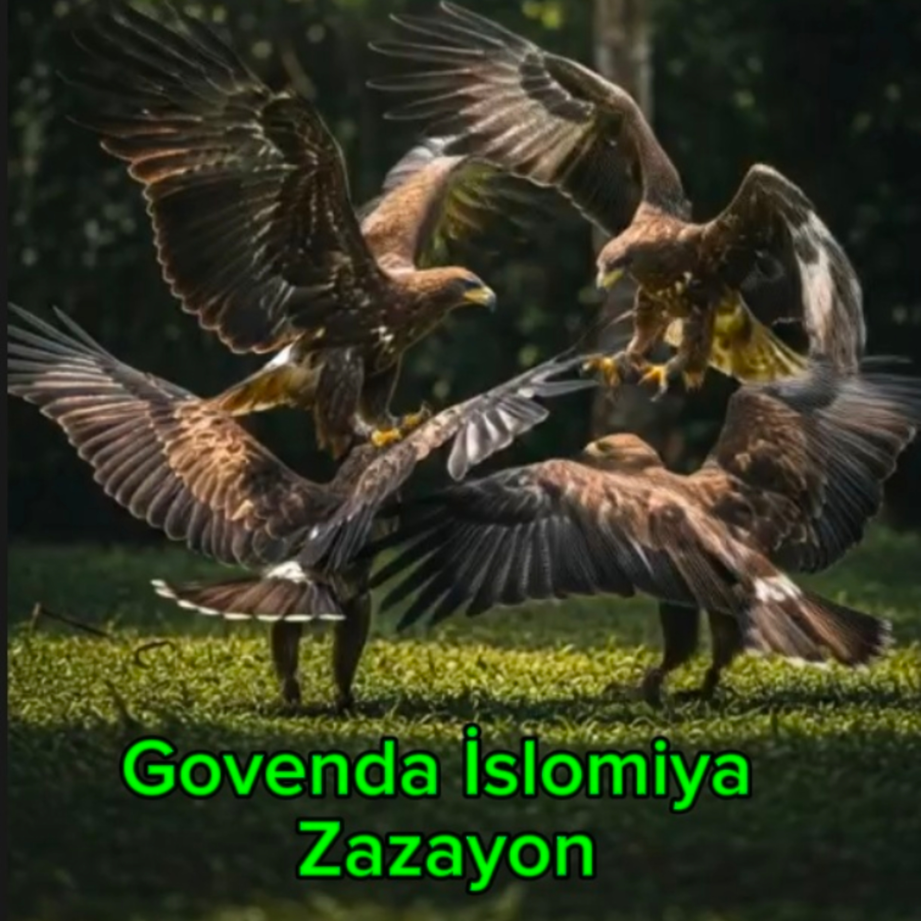 Govenda İslomi 5