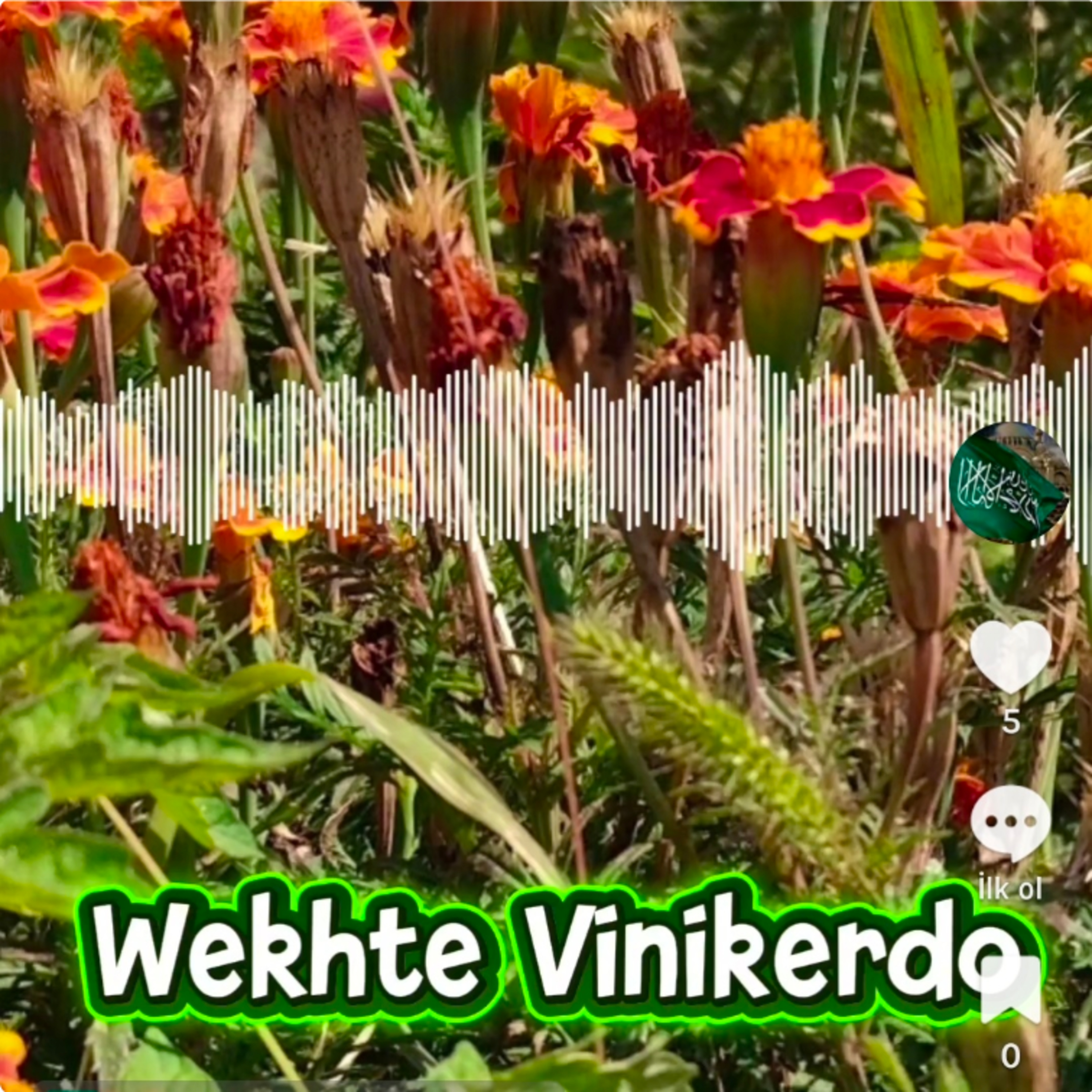 Wekhte Vinikerdo Zazaca Şiir episode artwork