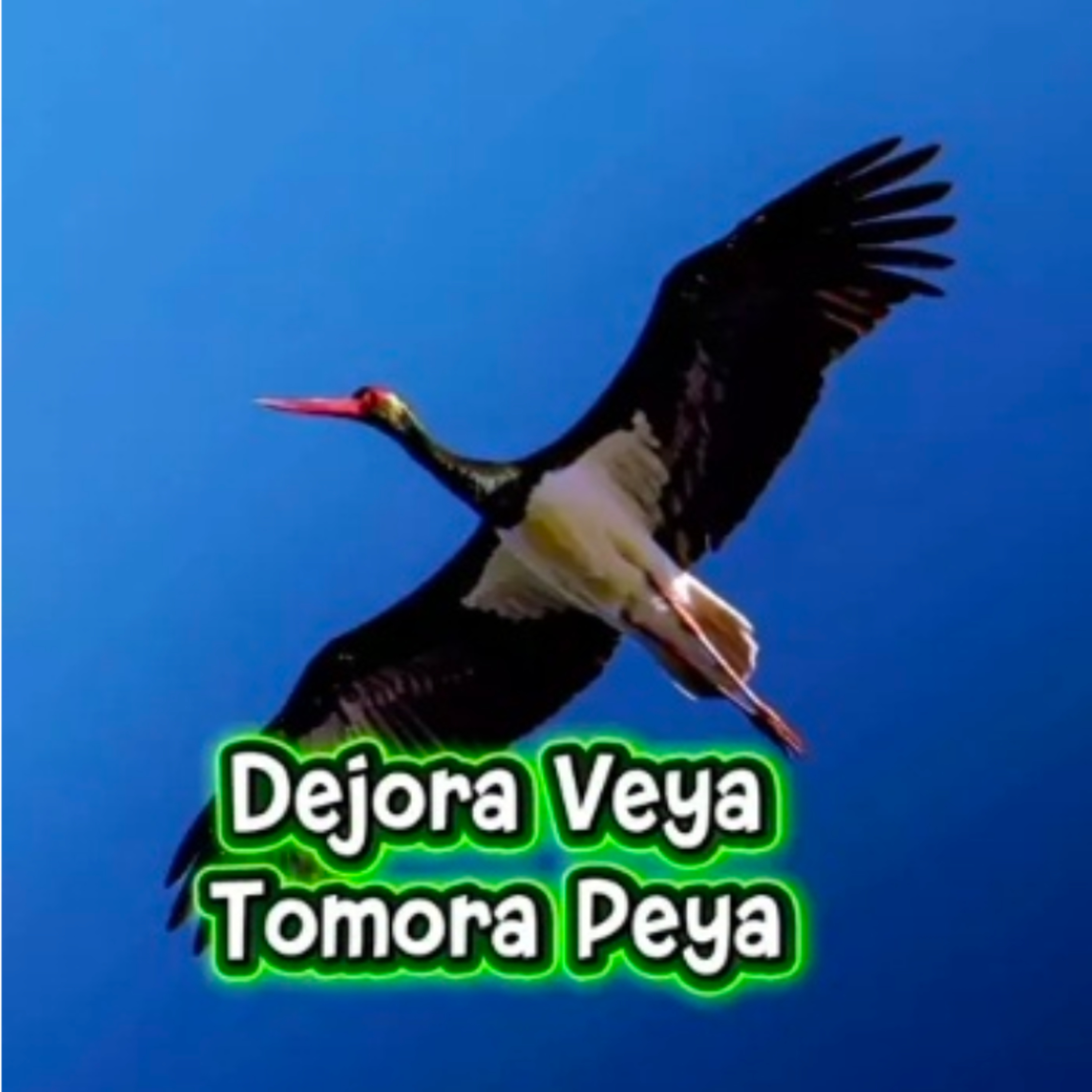 Dejora Veya Tomora Peya Zazaca Şiir