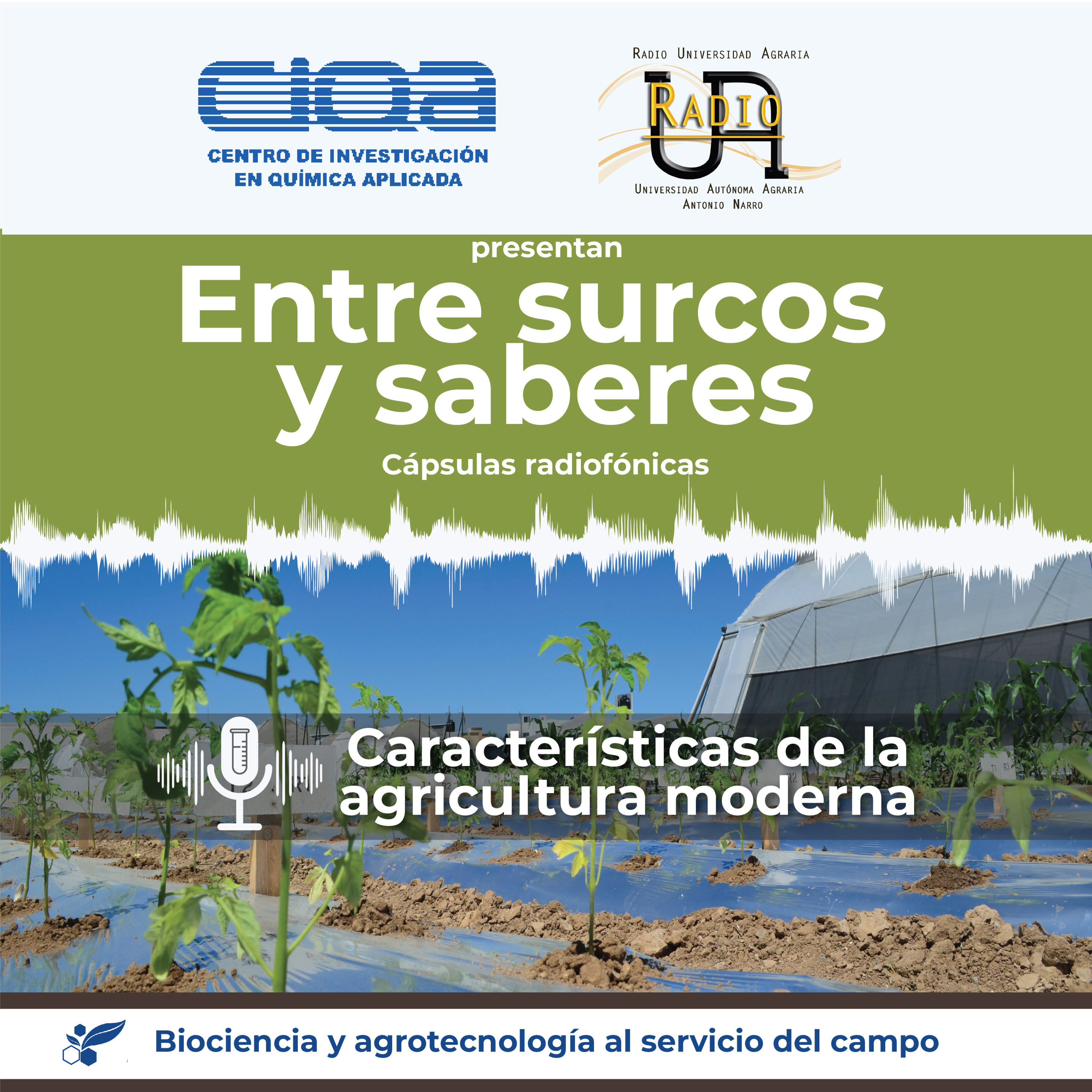 Serie La agricultura moderna: Cápsula 1 - Características de la agricultura moderna episode artwork