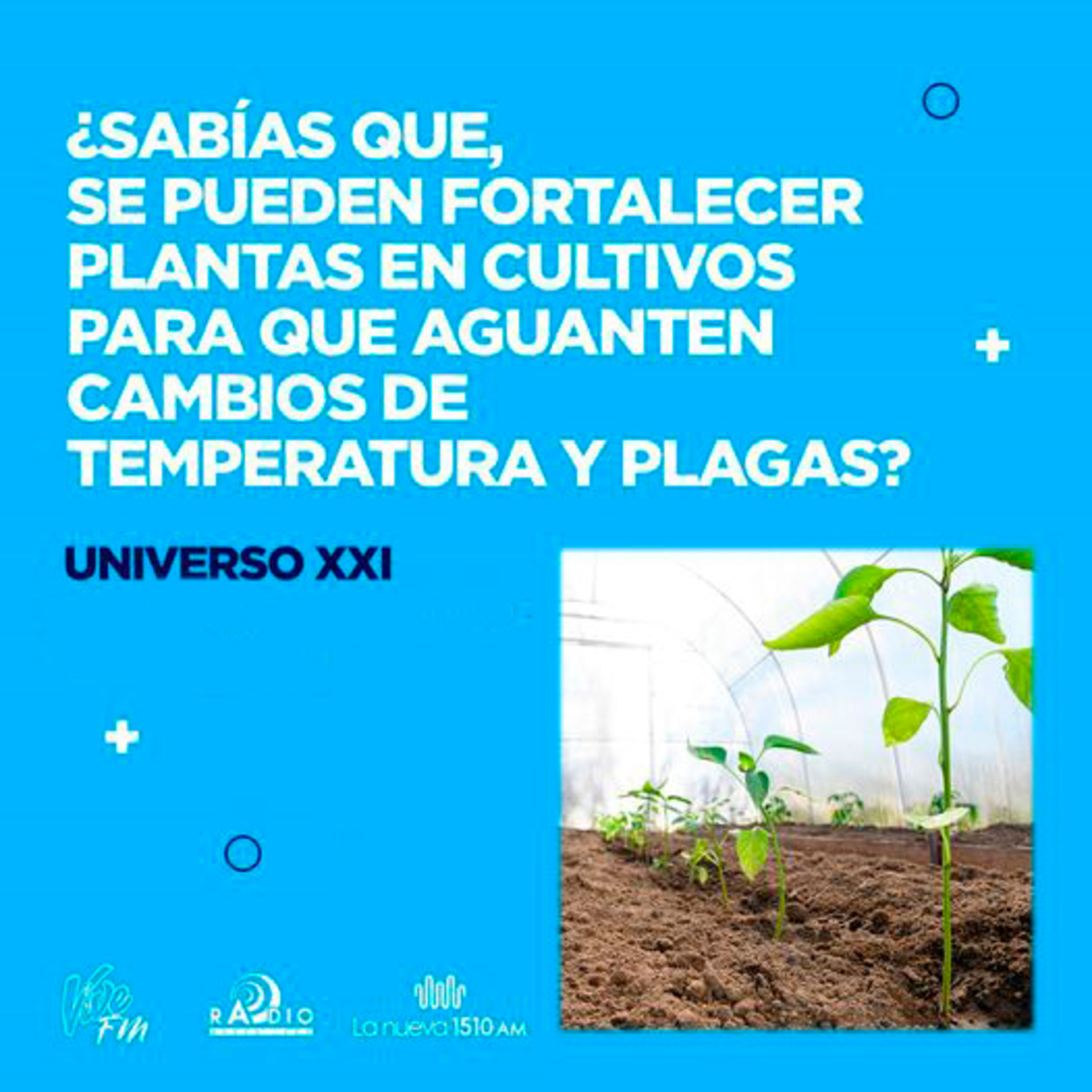 Entrevista en el programa UNIVERSO XXI: Importancia de la biofortificación de plantas comestibles con yodo. episode artwork