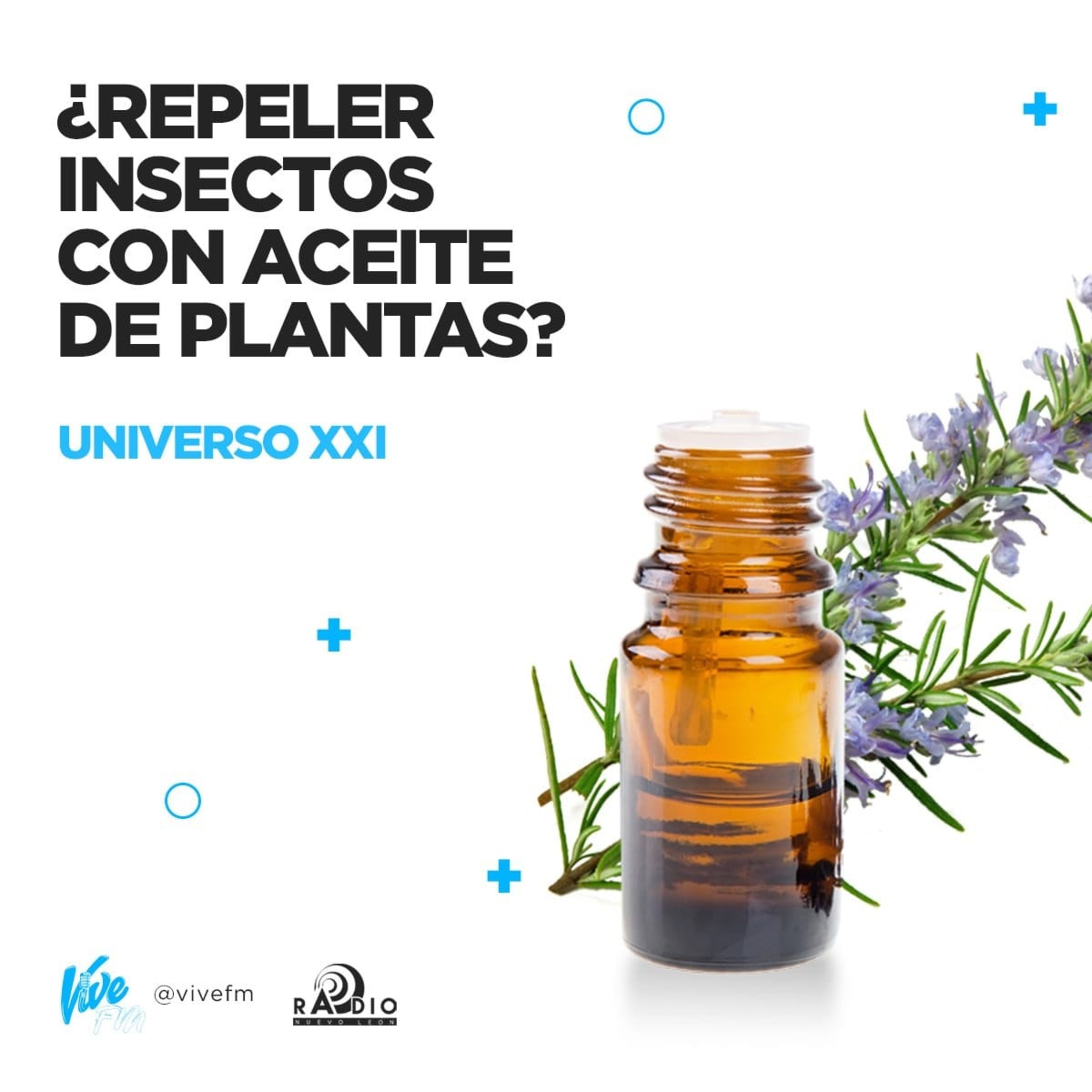 Entrevista en el programa UNIVERSO XXI: Los aceites esenciales como repelentes de insectos episode artwork