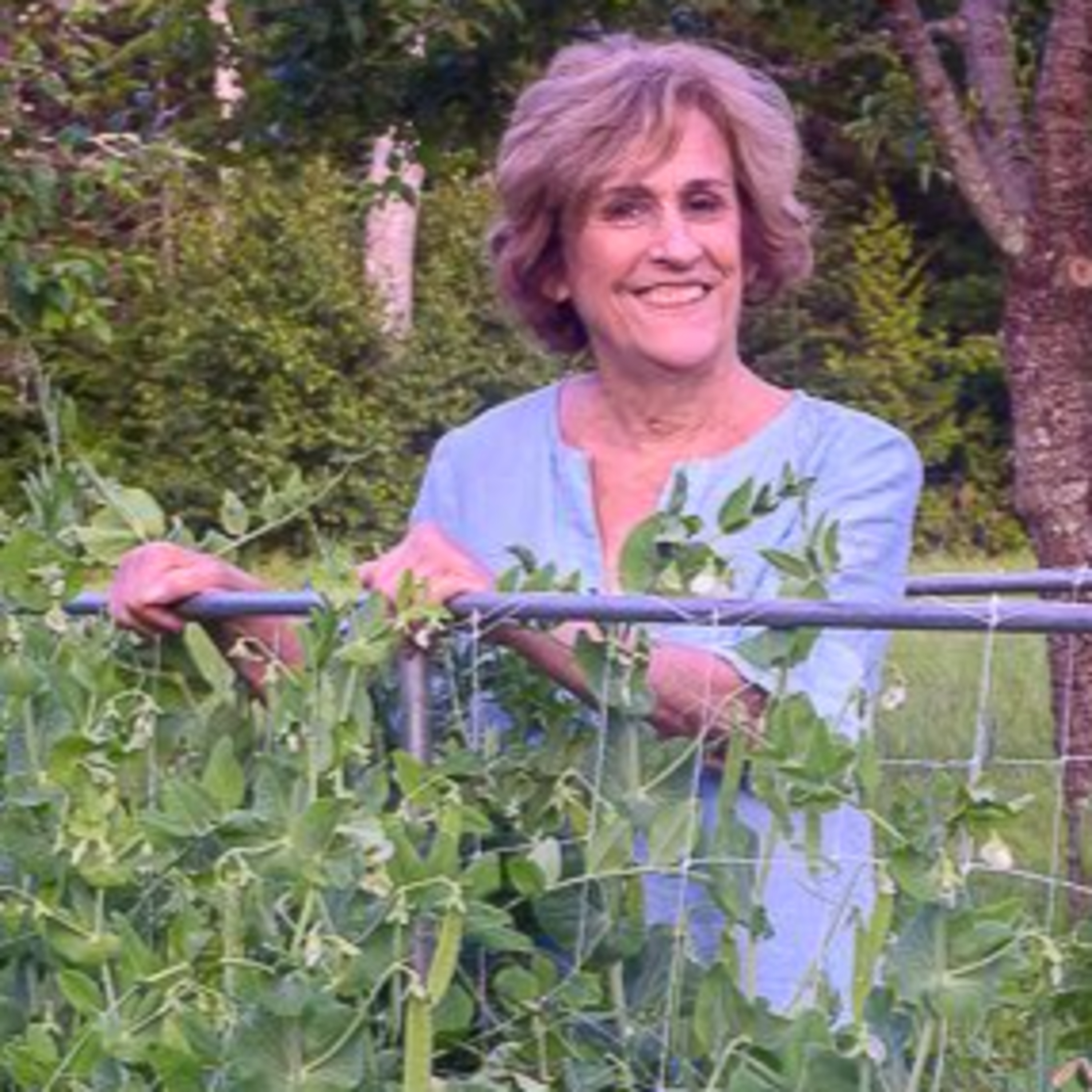 A Lifetime of Gardening with Barbara Damrosch