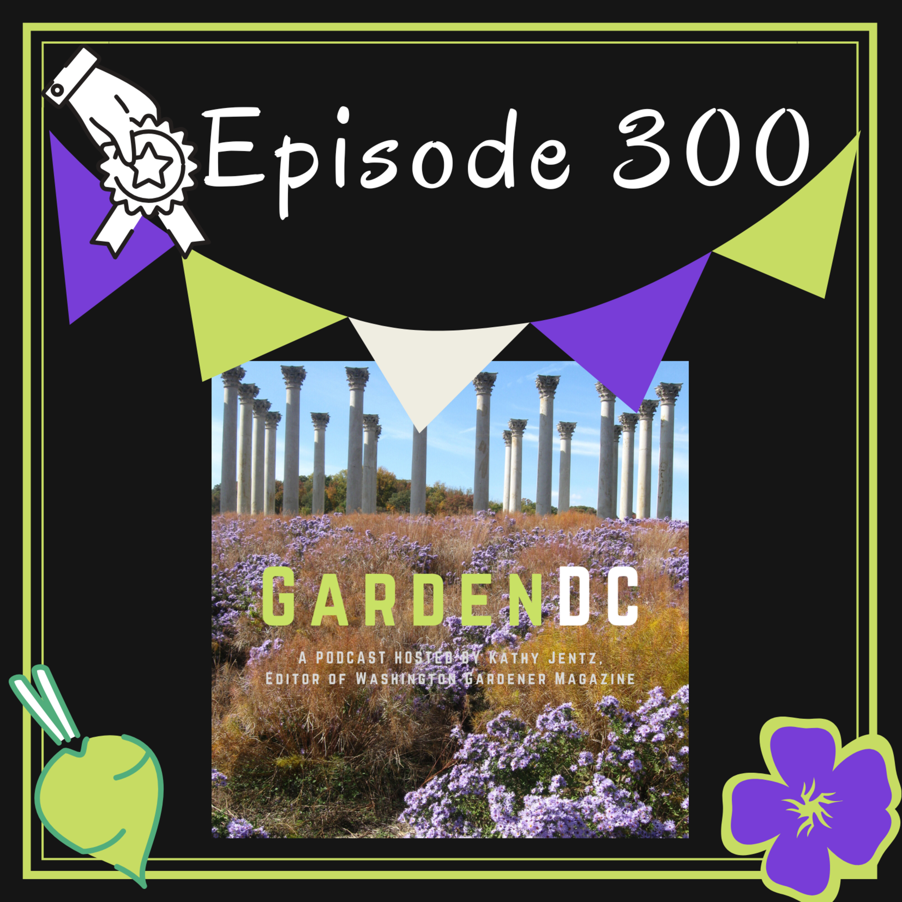 Looking Back on 6+ Years of Garden Wisdom and Sharing episode artwork