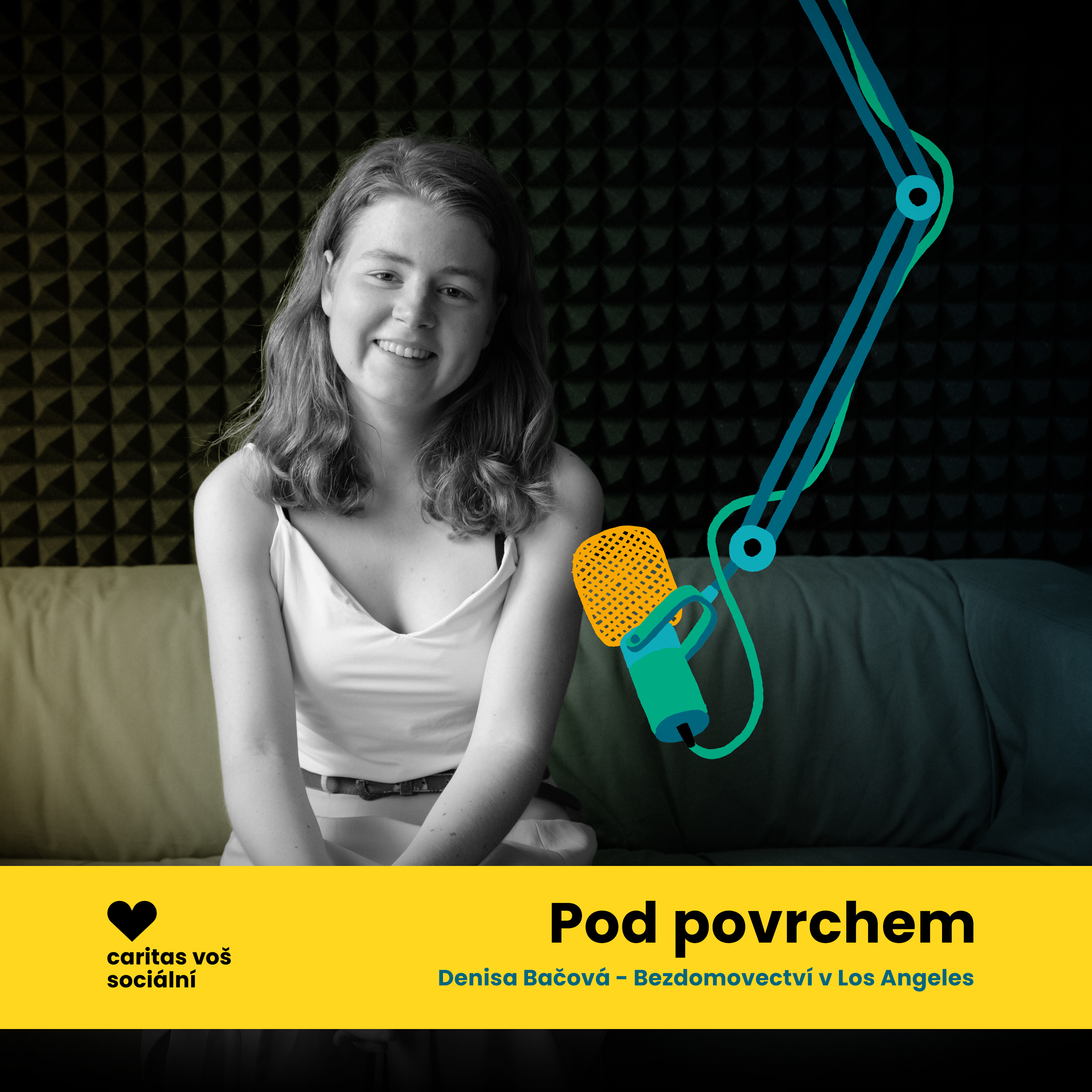V USA neziskové organizace nahrazují pomoc státu - Denisa Bačová episode artwork