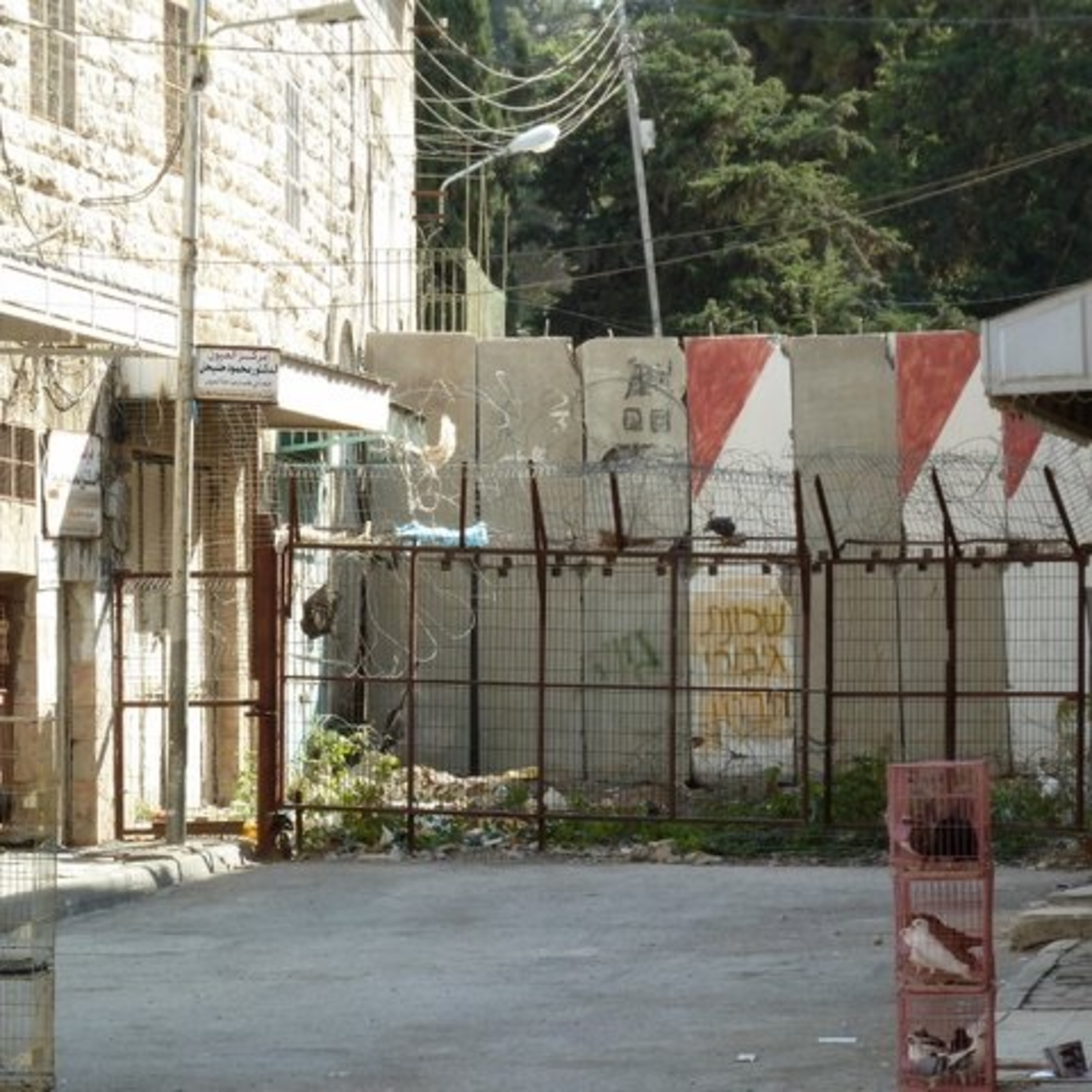 Episode 5: 50 Years of Occupation: Where Next for Israel? (Part 2) episode artwork