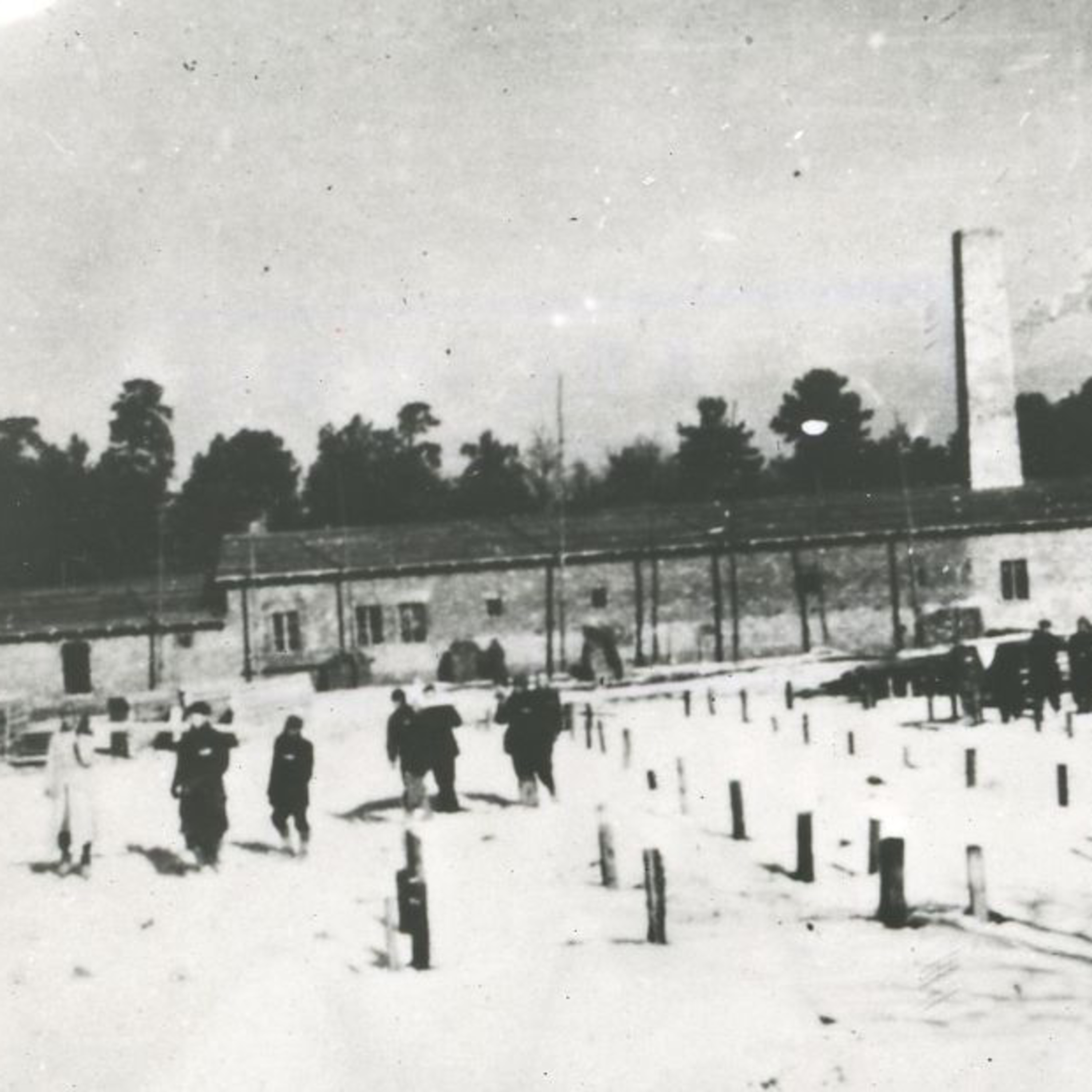 O Auschwitz