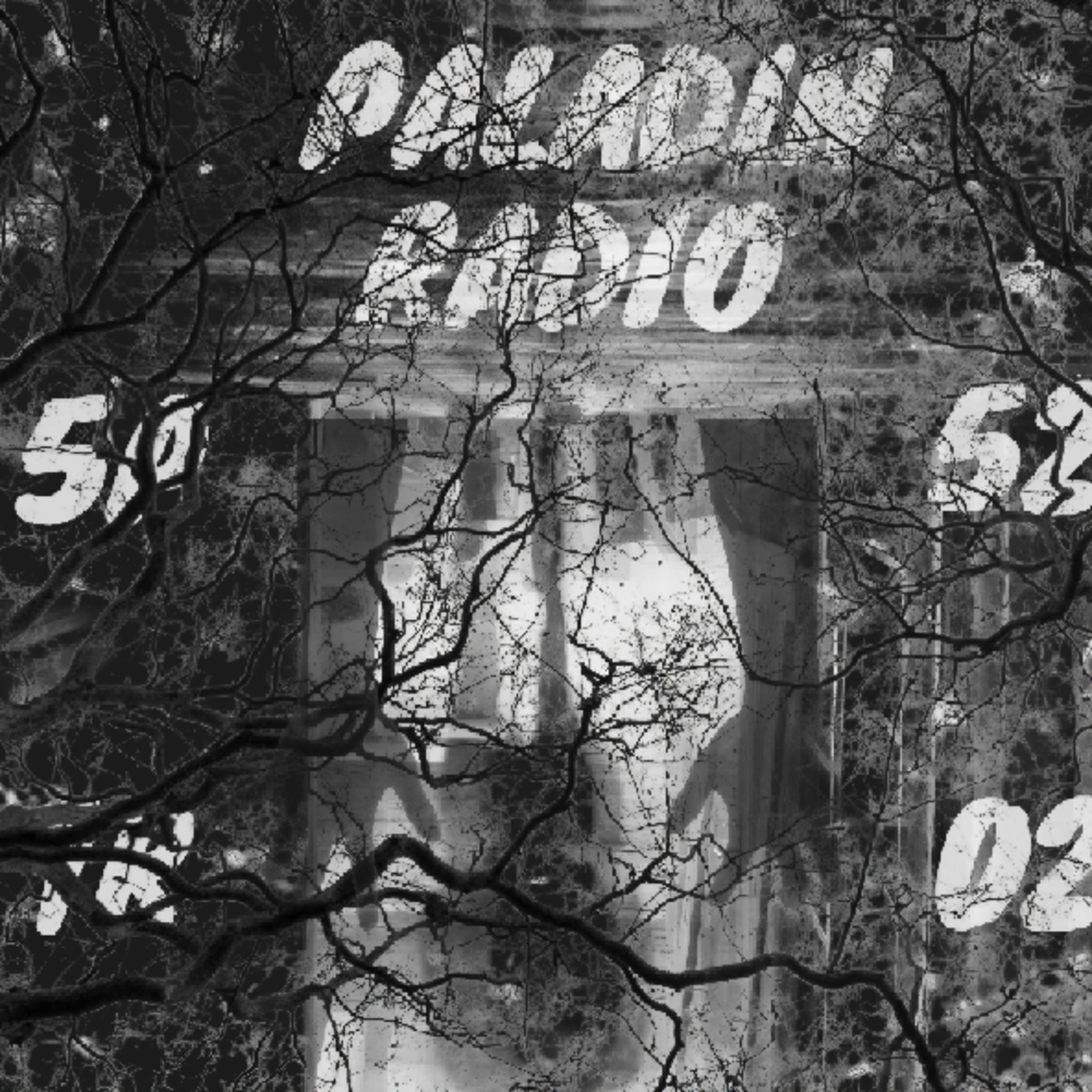 Welcome back to Paladin radio! episode artwork