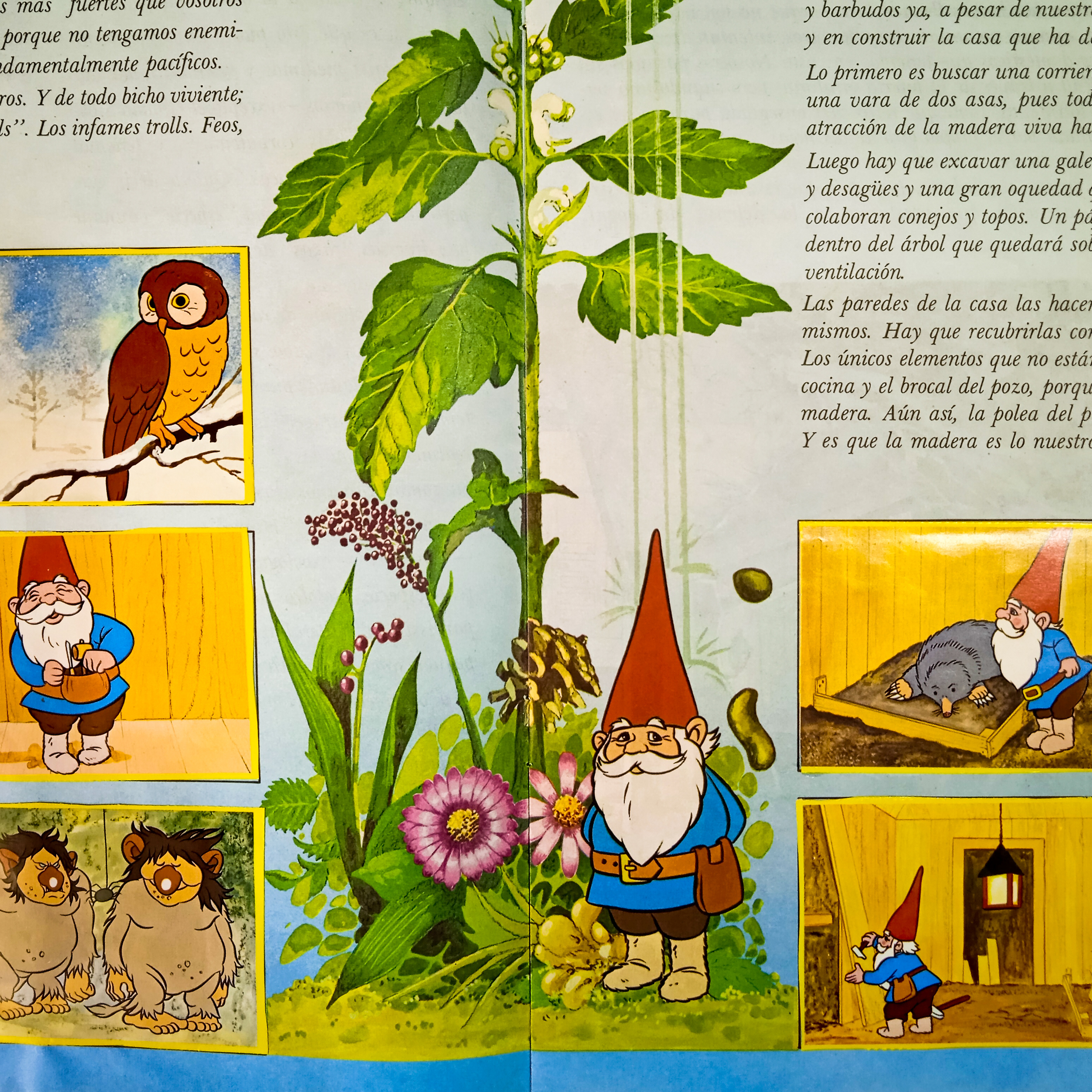 8 - David el Gnomo: En el corazón del bosque