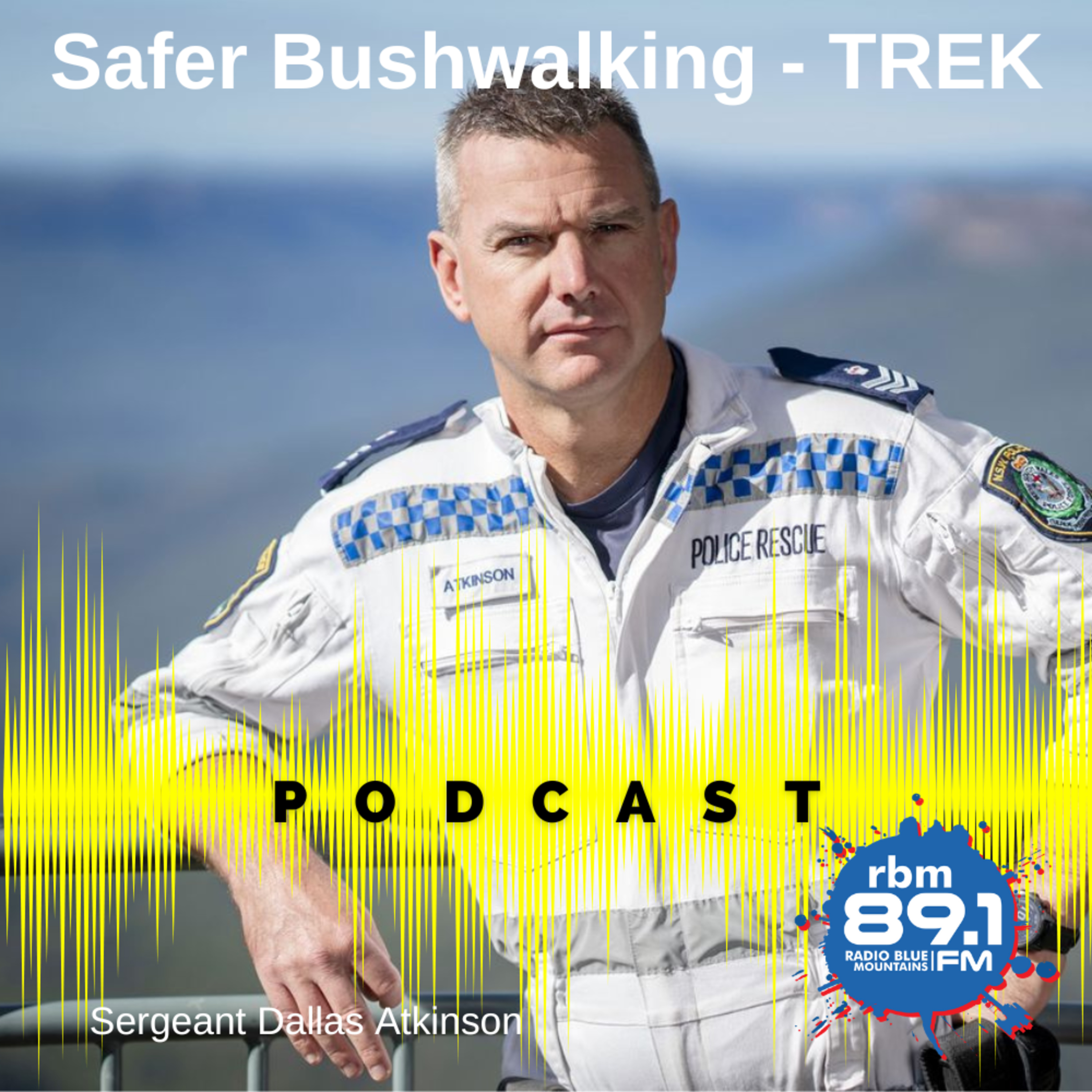 Ask Roz Podcast