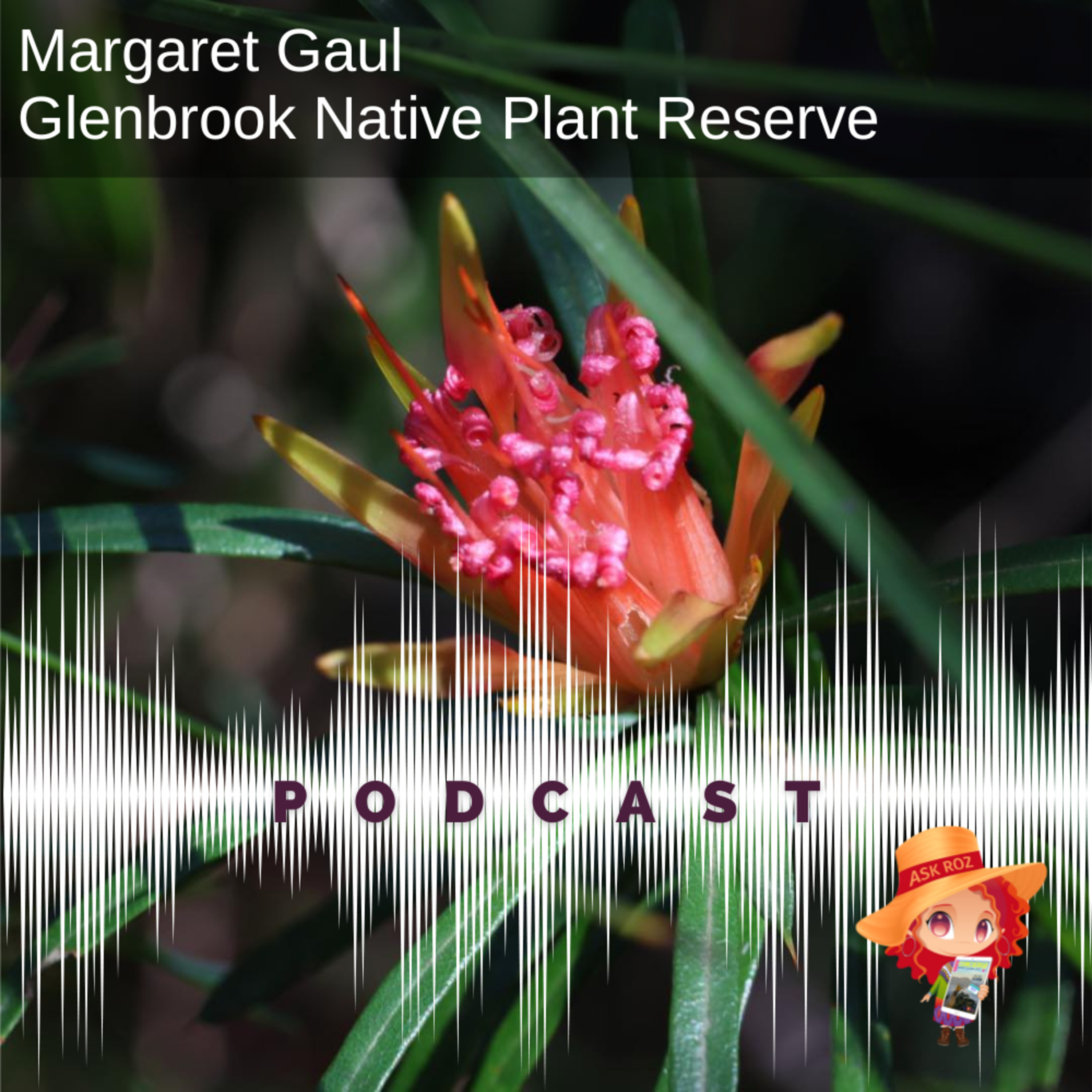 Margaret Gaul - Glenbrook Native Plant Reserve on RBM episode artwork
