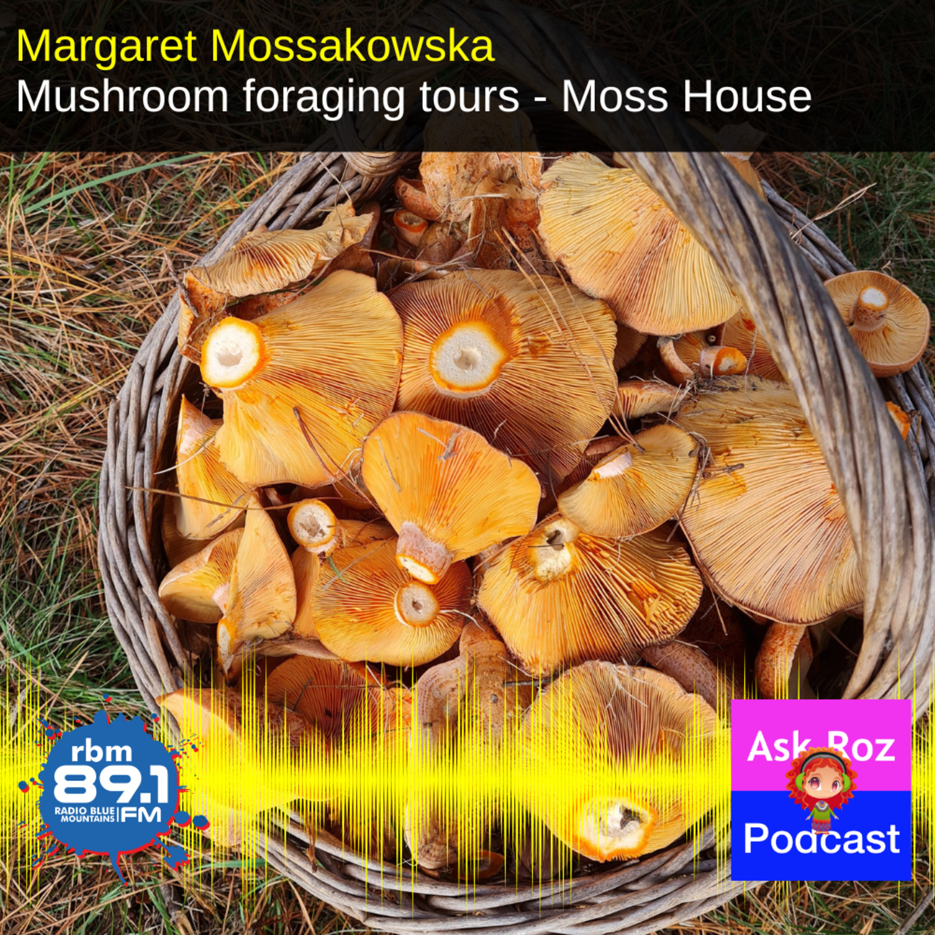 Mushroom foraging tours with Margaret Mossakowska from Moss House on RBM episode artwork