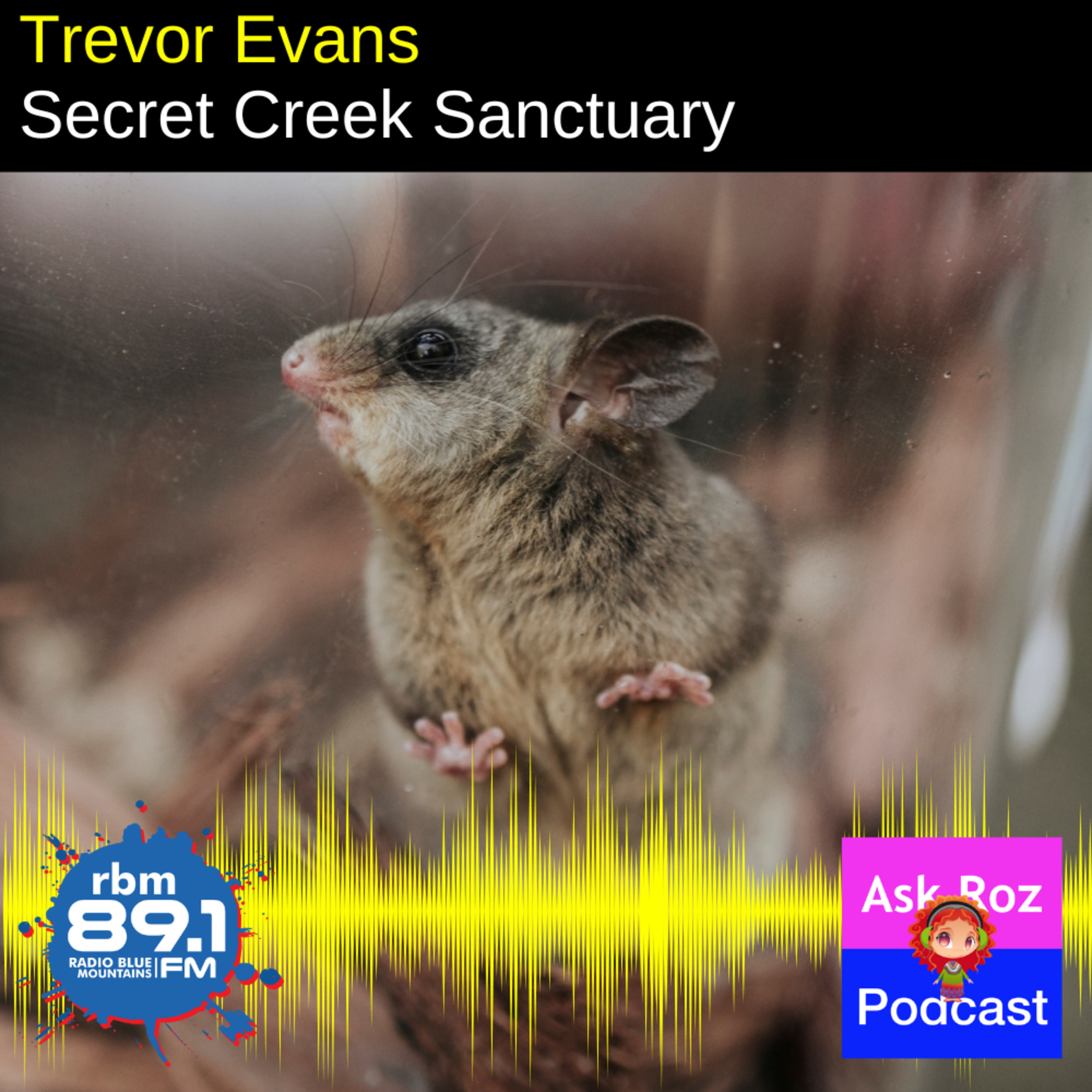 Trevor Evans Founder, owner, and manager of Secret Creek Sanctuary, Lithgow episode artwork