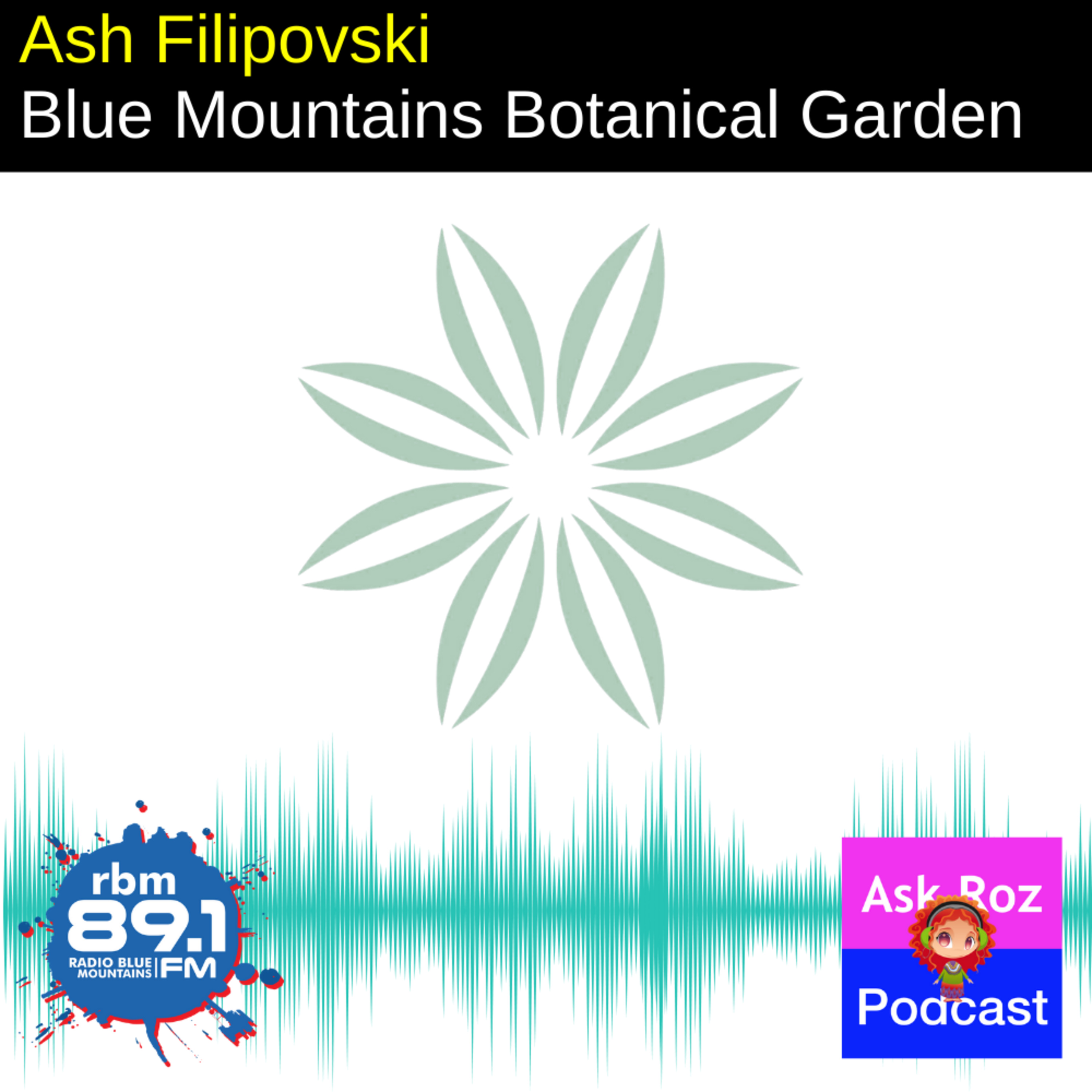Ash Filipovski, Curator, Blue Mountains Botanical Garden - Mount Tomah episode artwork