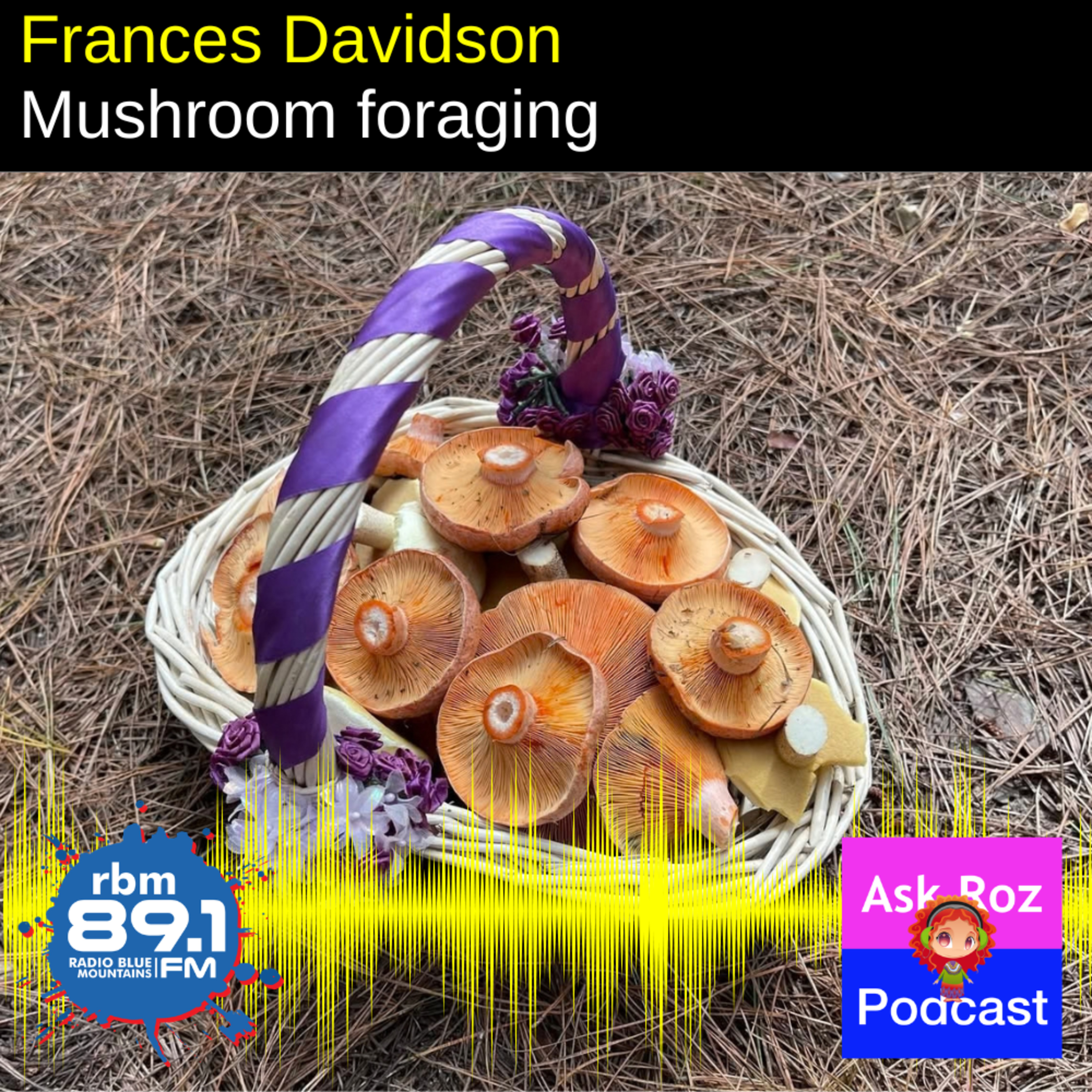 Margaret Mossakowska from Moss House discusses Mushroom foraging