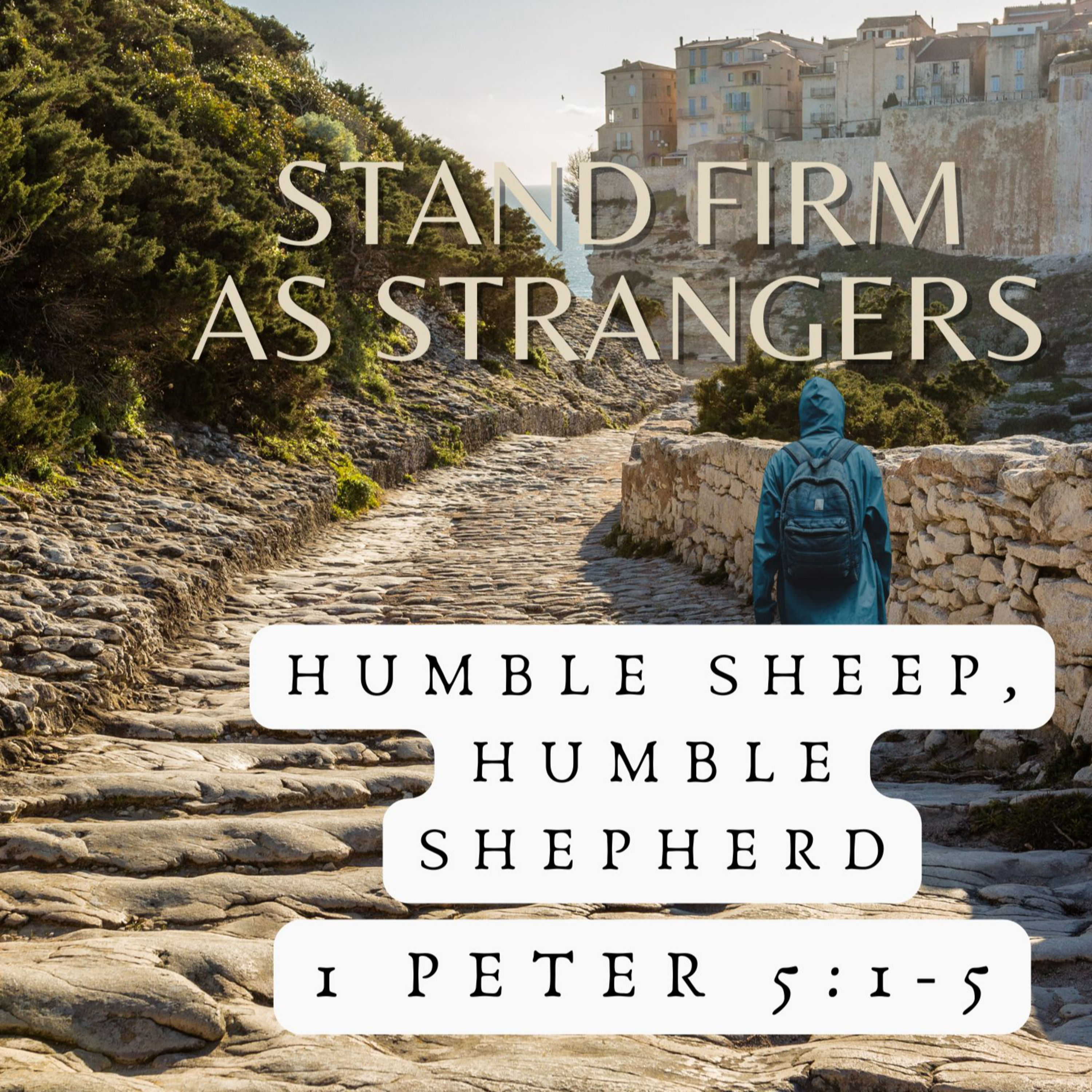 Humble Sheep, Humble Shepherds episode artwork